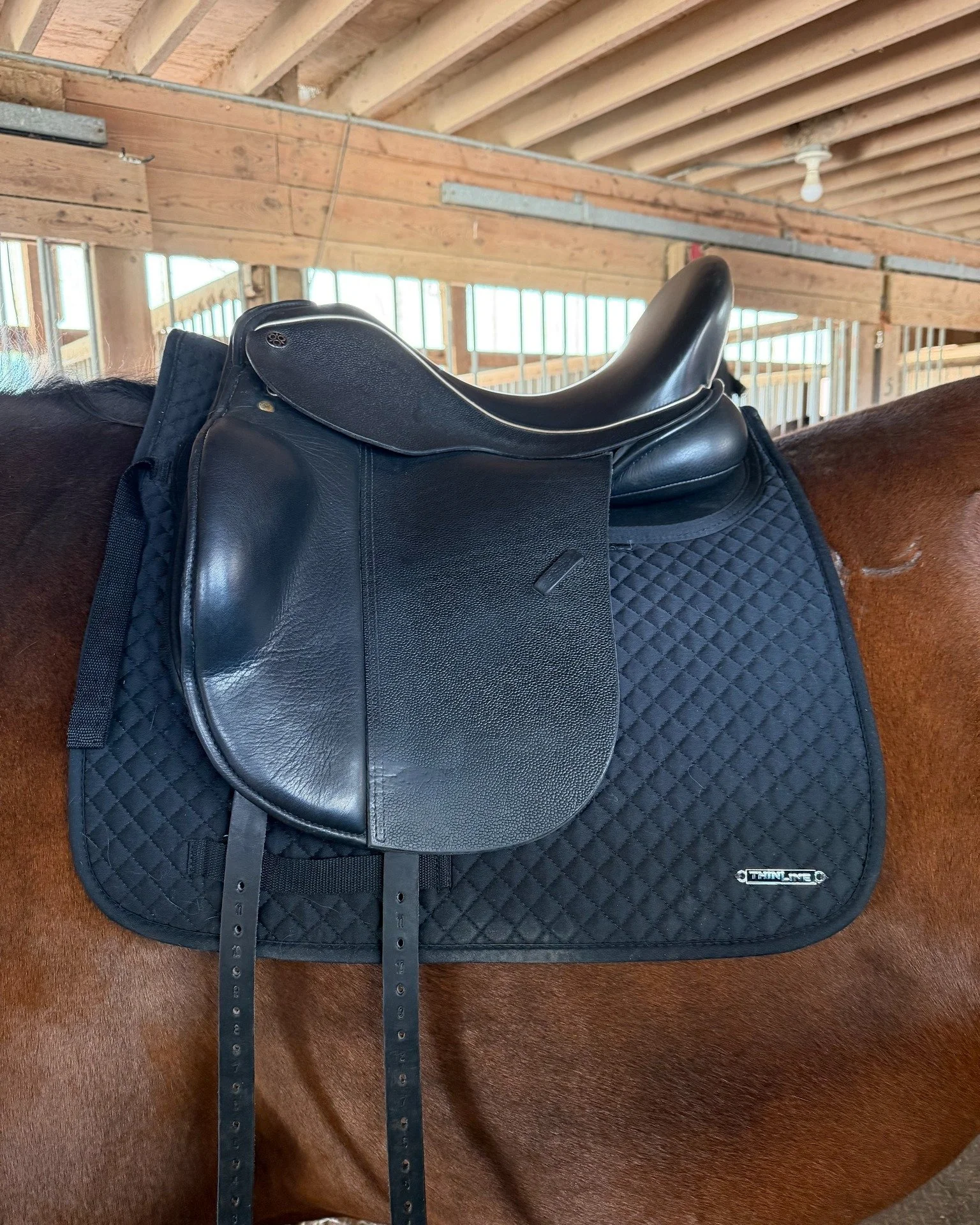 I currently have this stunning XW Trilogy Virago in a 17.5 with a short flap of my clients! If you are in need of a comfortable, stylish, and almost brand new saddle fitting these specs, please reach out! We are looking to find it a new home!