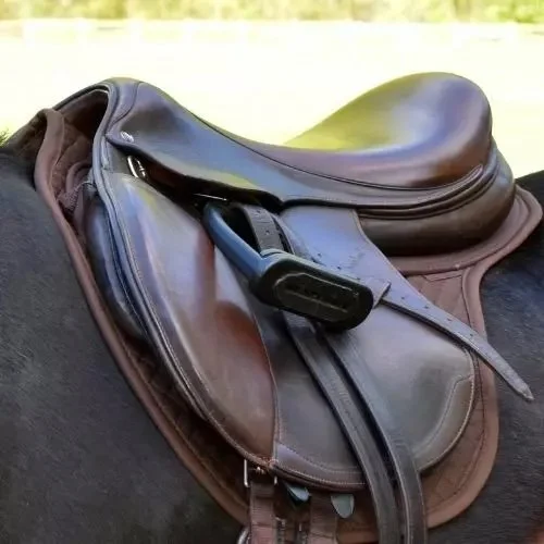 ThinLine-Wither-Free-Saddle-Pad-3.jpg.jpeg