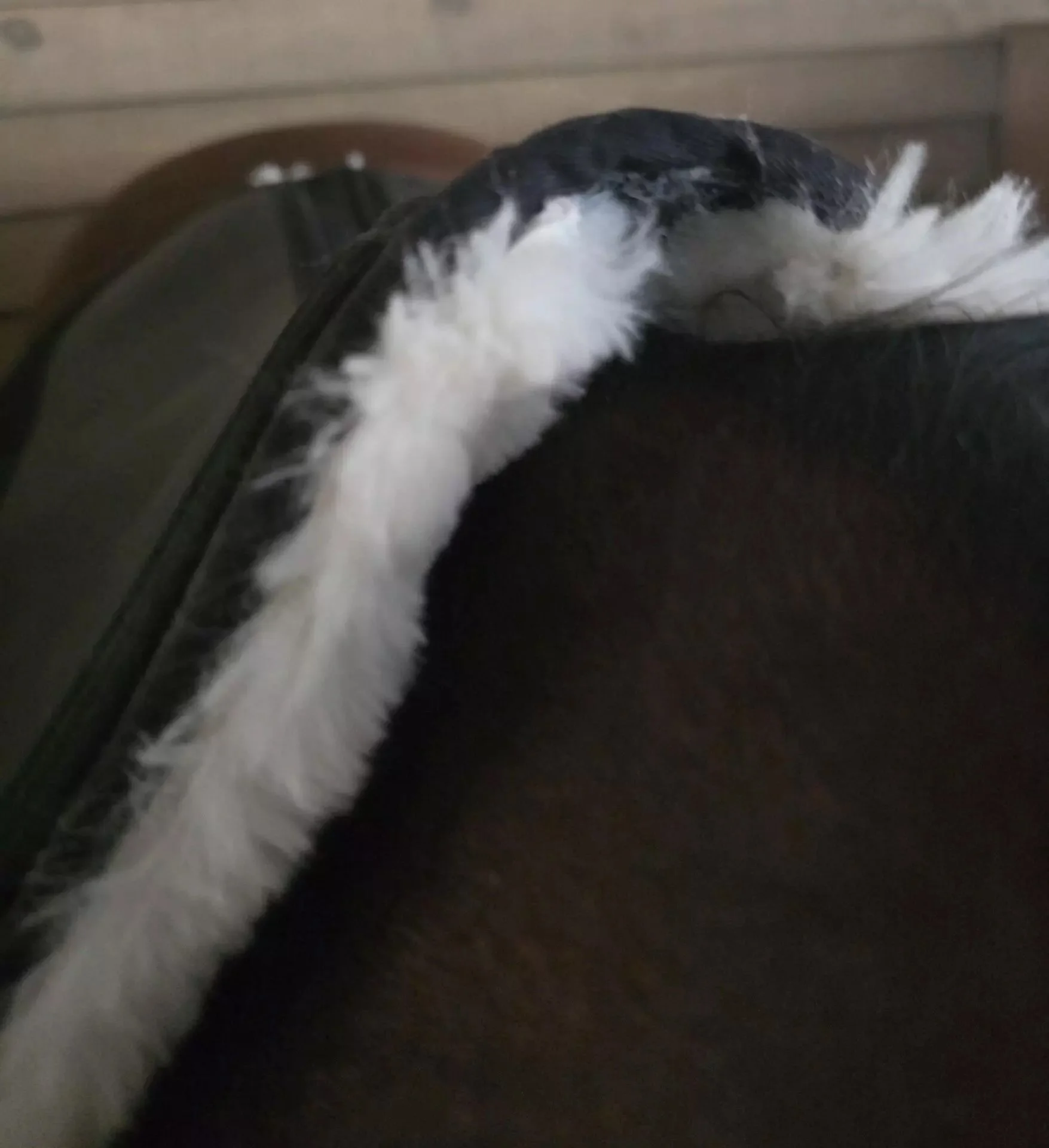 Breathable-spine-sheepskin-channel.jpg.jpeg