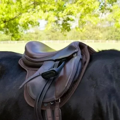 ThinLine-Wither-Free-Saddle-Pad.jpg.jpeg