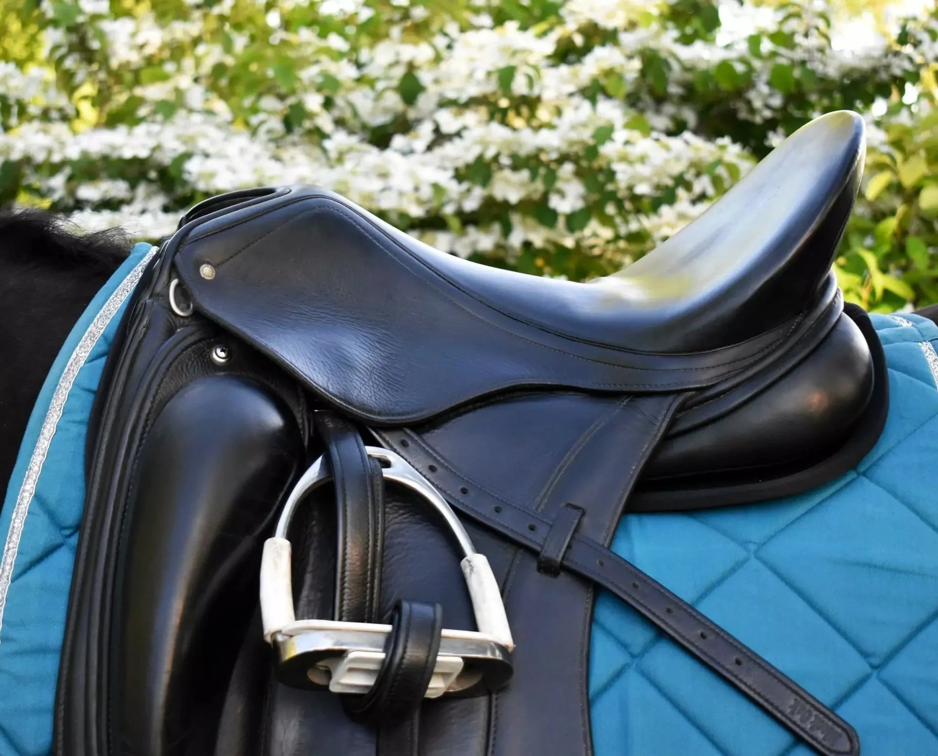 perfect-fit-dressage-half-pad-2.jpg.jpeg