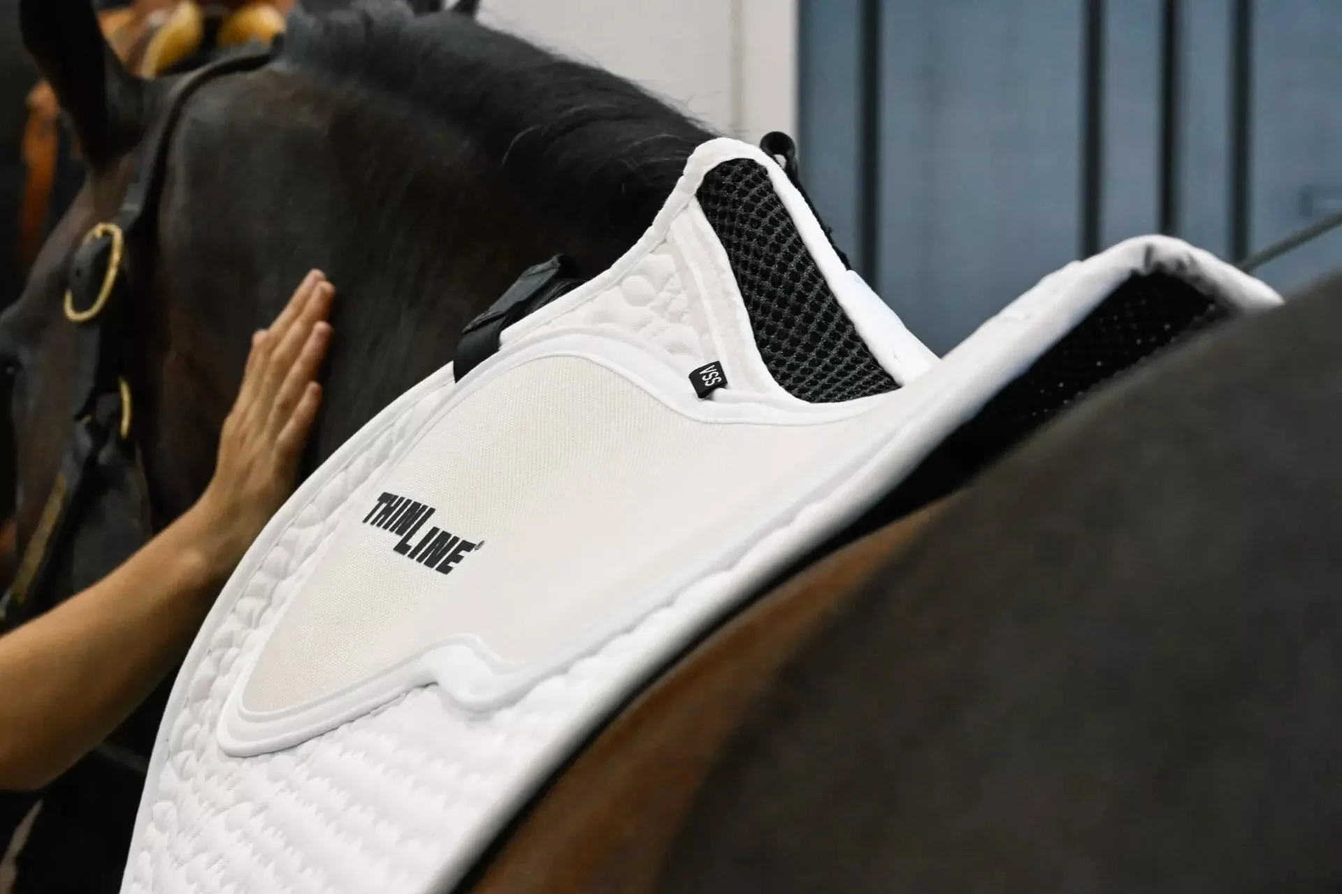 euro-pad-spine-high-wither-w-7051-7052.jpg.jpeg
