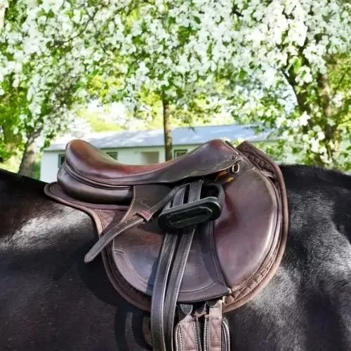 ThinLine-Wither-Free-Saddle-Pad-2.jpg.jpeg