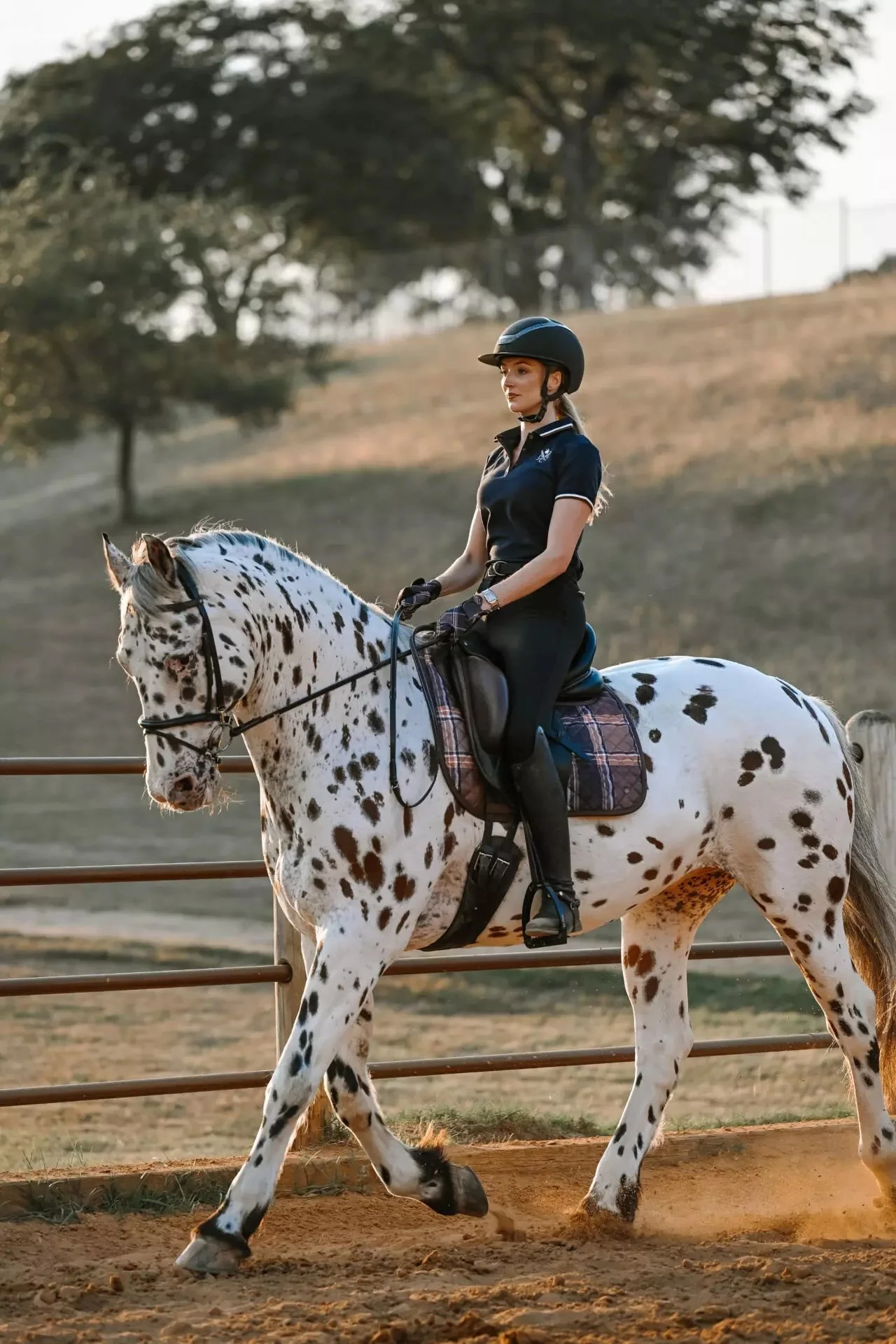 ThinLine-Sixteen-Cypress-Eqeustrian-Saddle-Pads17.jpg.jpeg