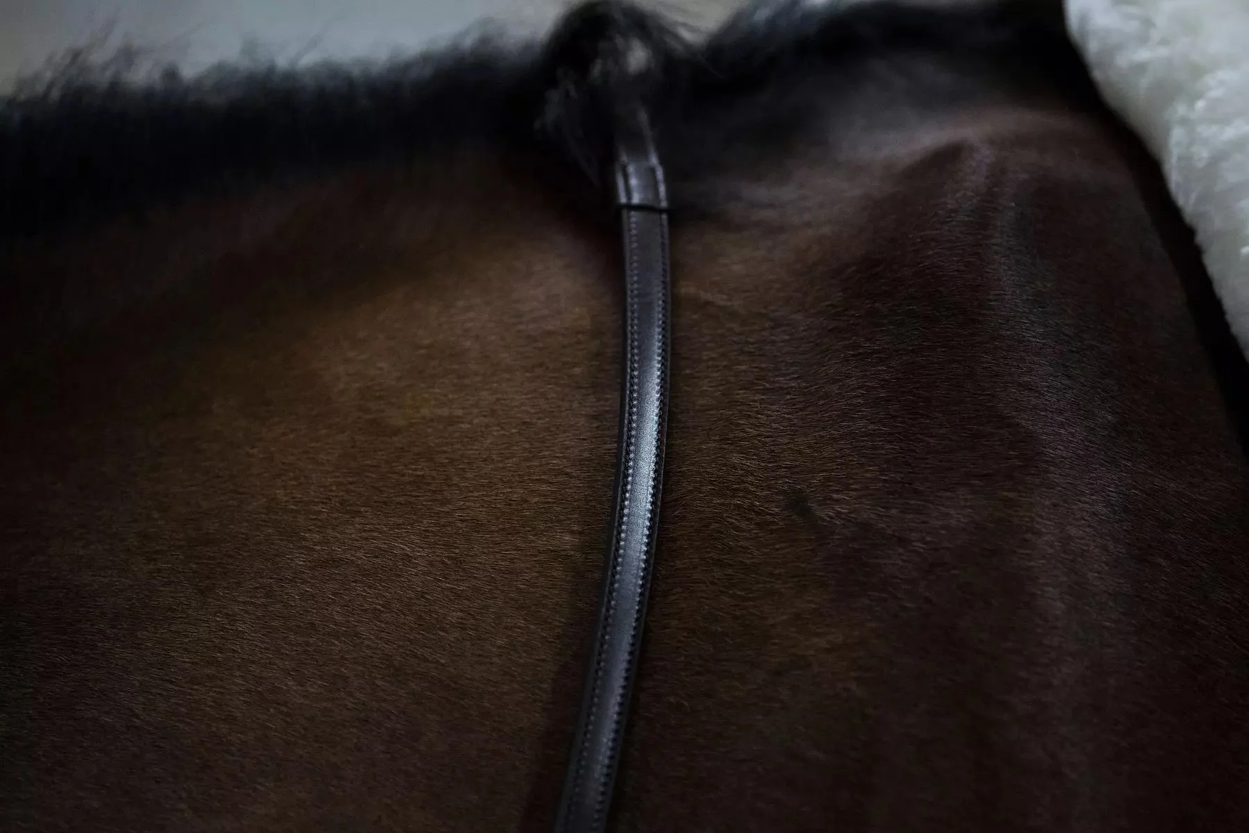 ThinLine Lined English Reins