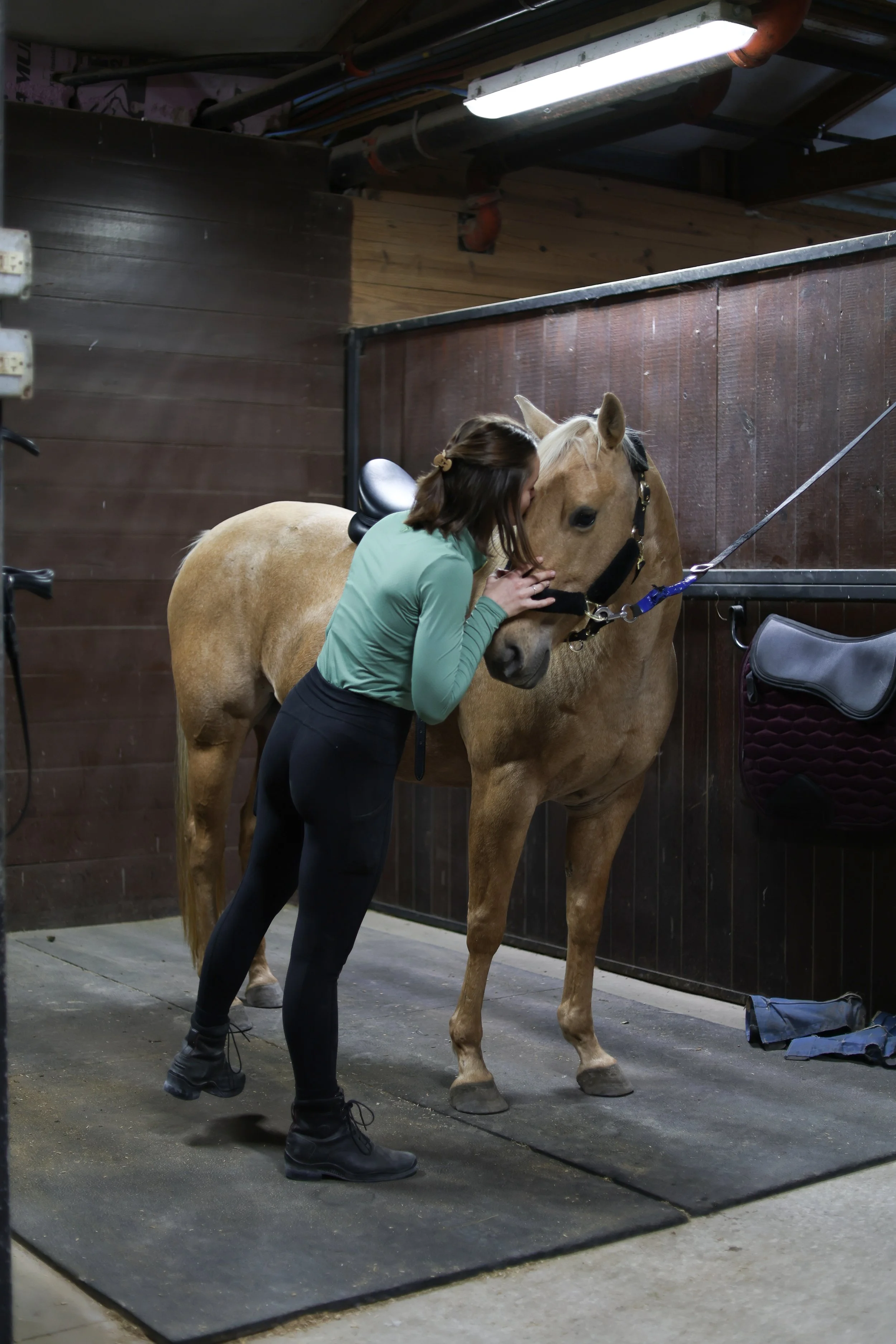 A woman with brown hair, wearing a green long-sleeve shirt and black riding pants, is standing next to a light brown horse in a stable. The woman is gently holding the horse's face near its mouth. The stable has dark wooden walls and a fluorescent light on the ceiling.