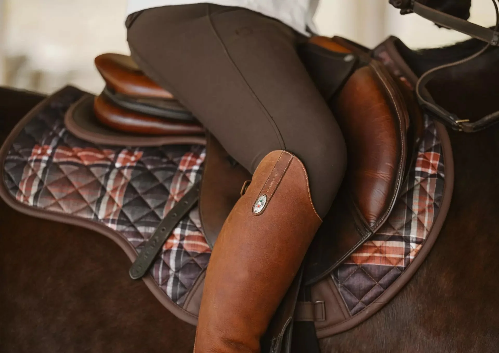 ThinLine-Sixteen-Cypress-Eqeustrian-Saddle-Pads19.jpg.jpeg