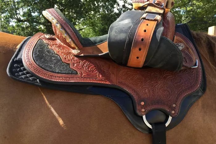 8801-lifestyle-western.jpg.jpeg