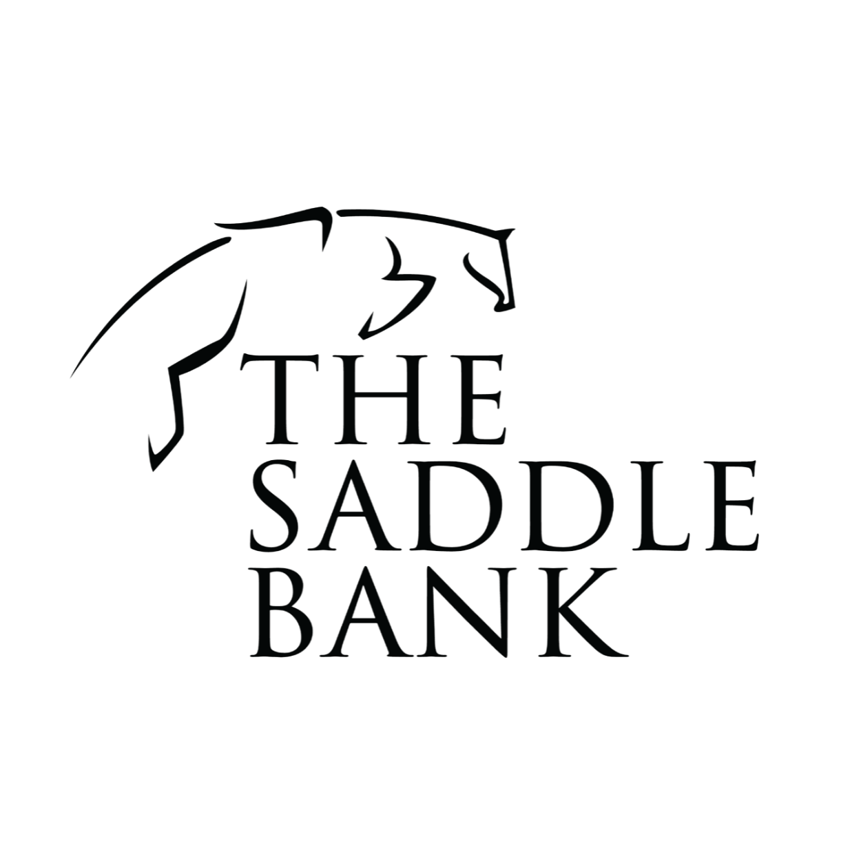 Logo for The Saddle Bank featuring a stylized horse head and the name in bold letters.