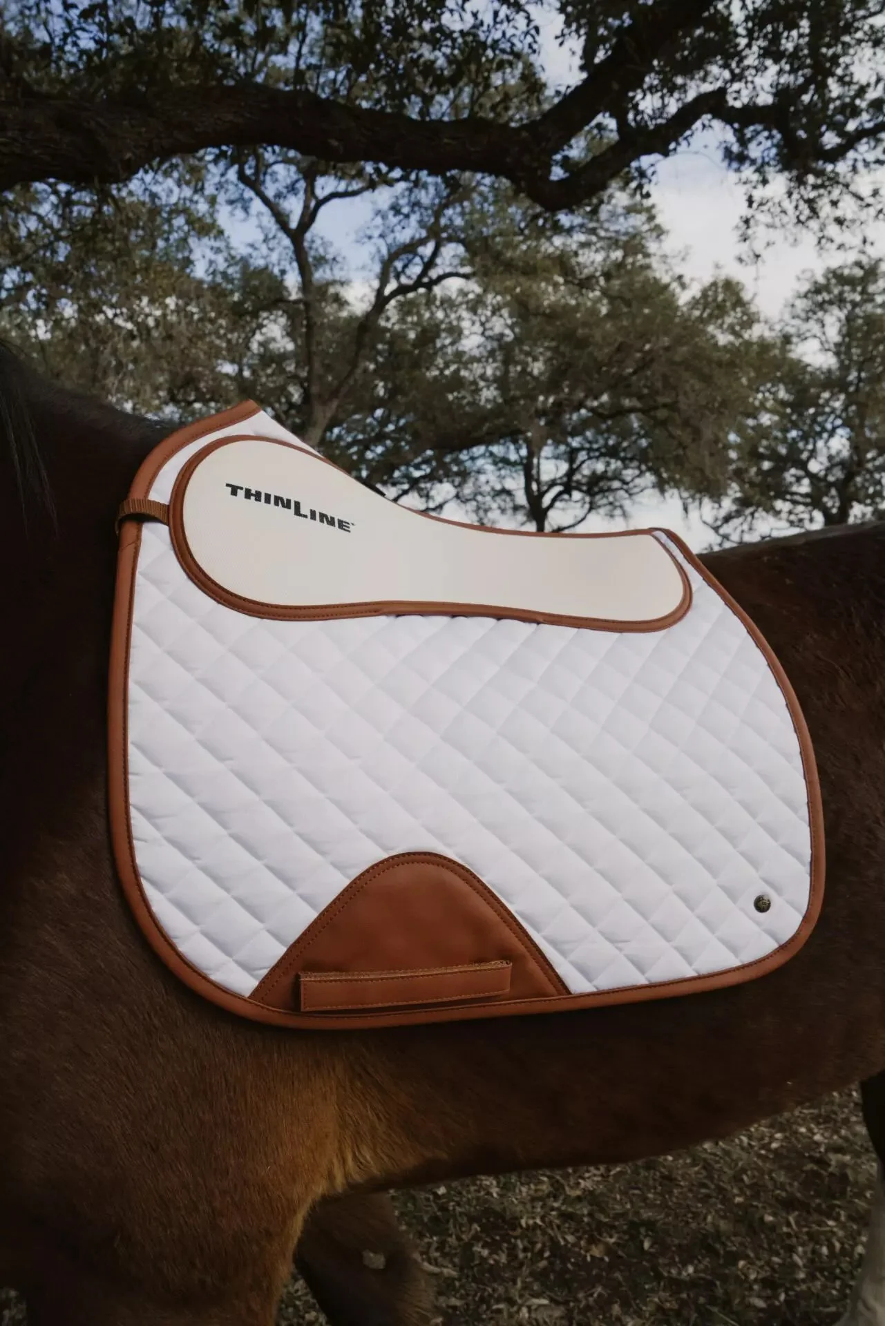 ThinLine-Sixteen-Cypress-Eqeustrian-Saddle-Pads34.jpg.jpeg