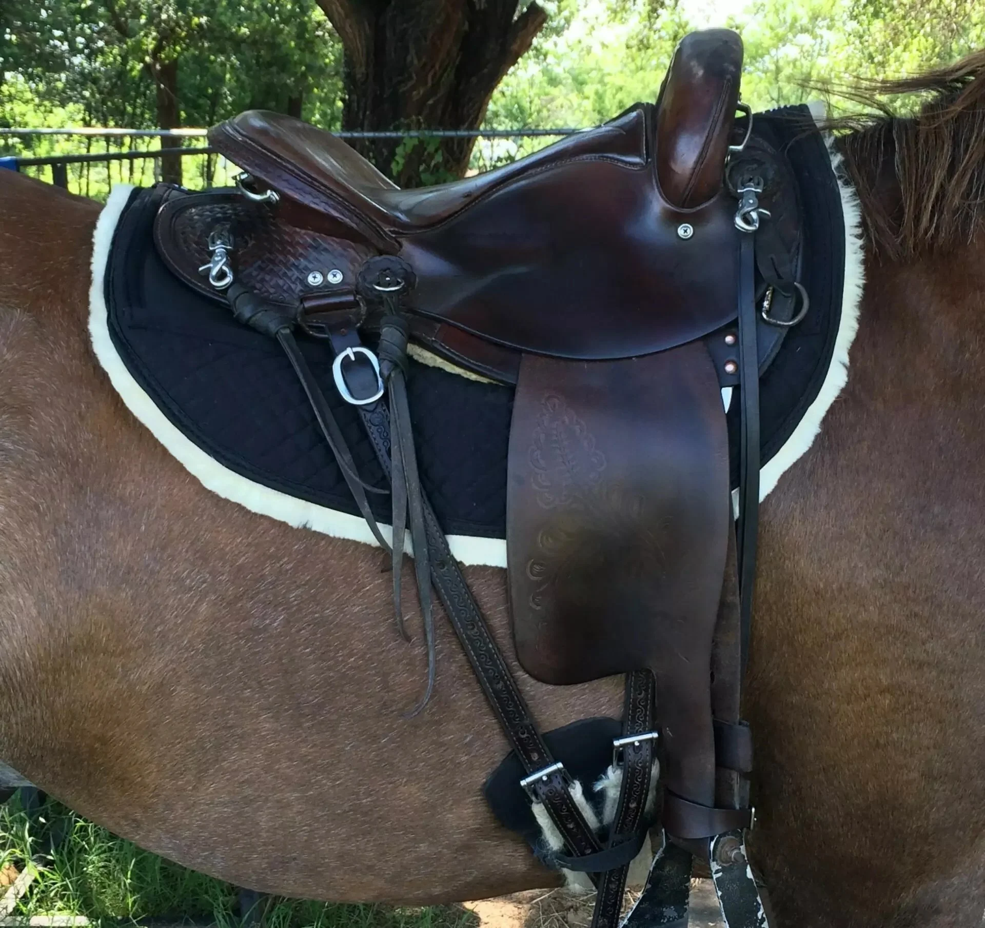 3381-s-endurance-saddle.jpeg