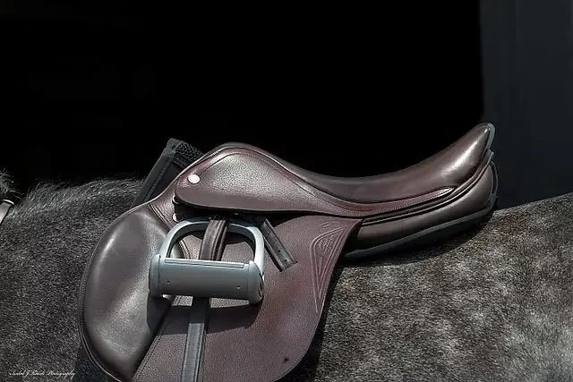 323-Perfecty-fit-saddle-2.jpg.jpeg