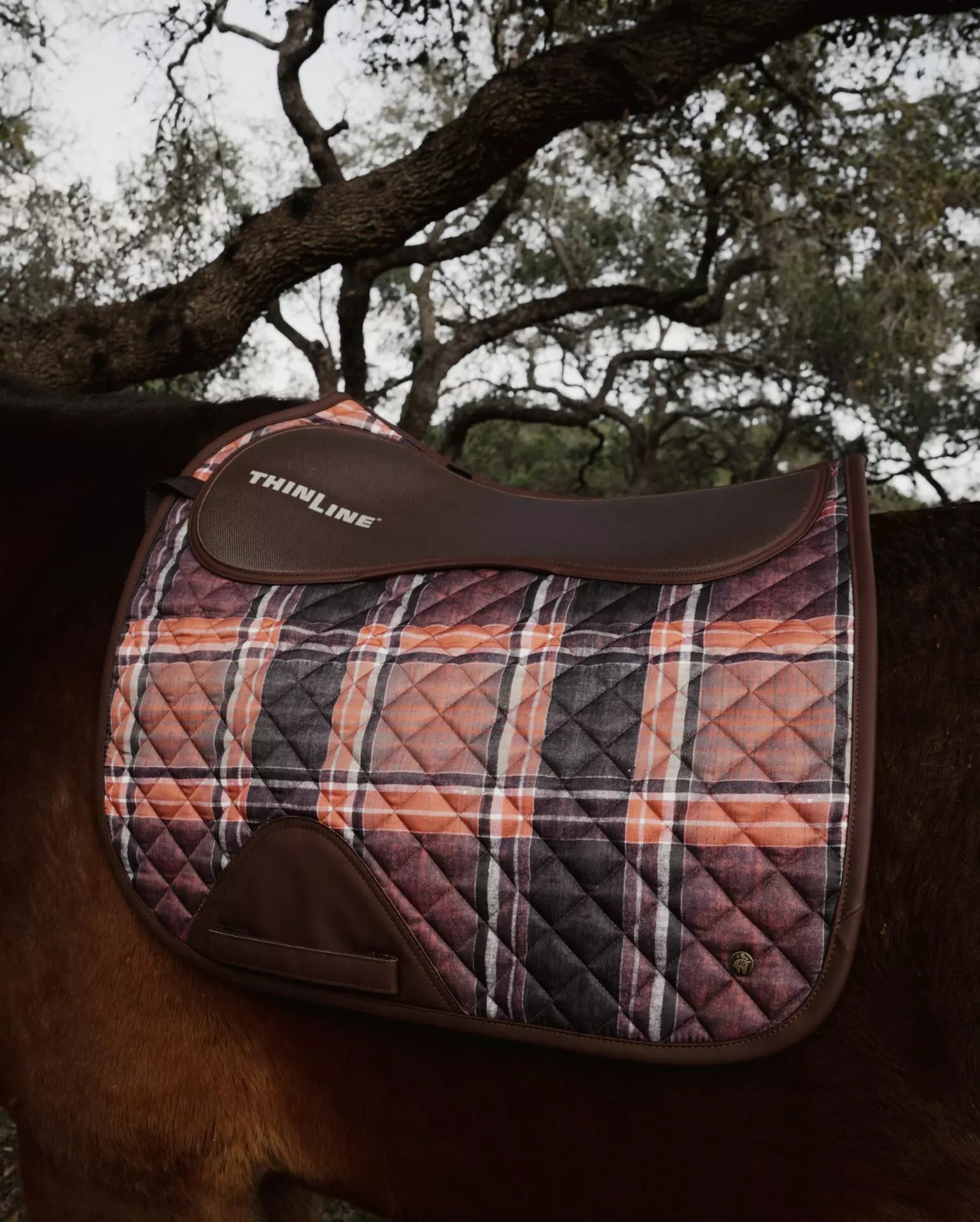 ThinLine-Sixteen-Cypress-Eqeustrian-Saddle-Pads38.jpg.jpeg