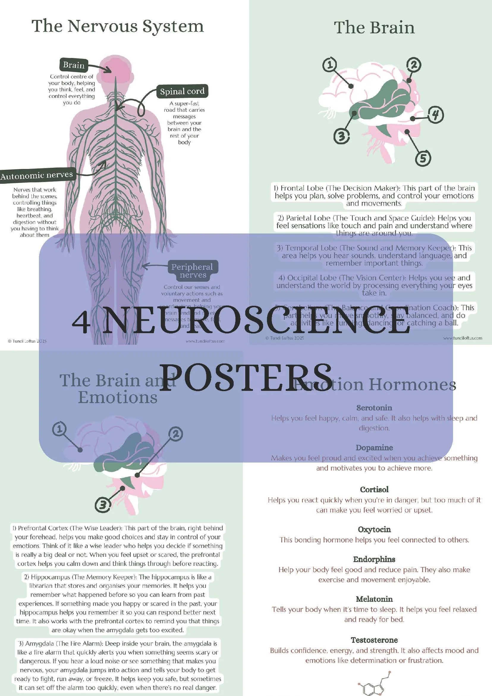 4 Neuroscience Posters (A4).jpg