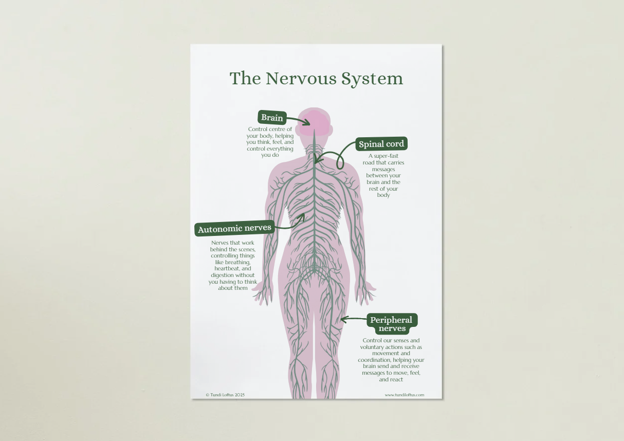 Poster Pack: The Neuroscience of Emotions (digital download)