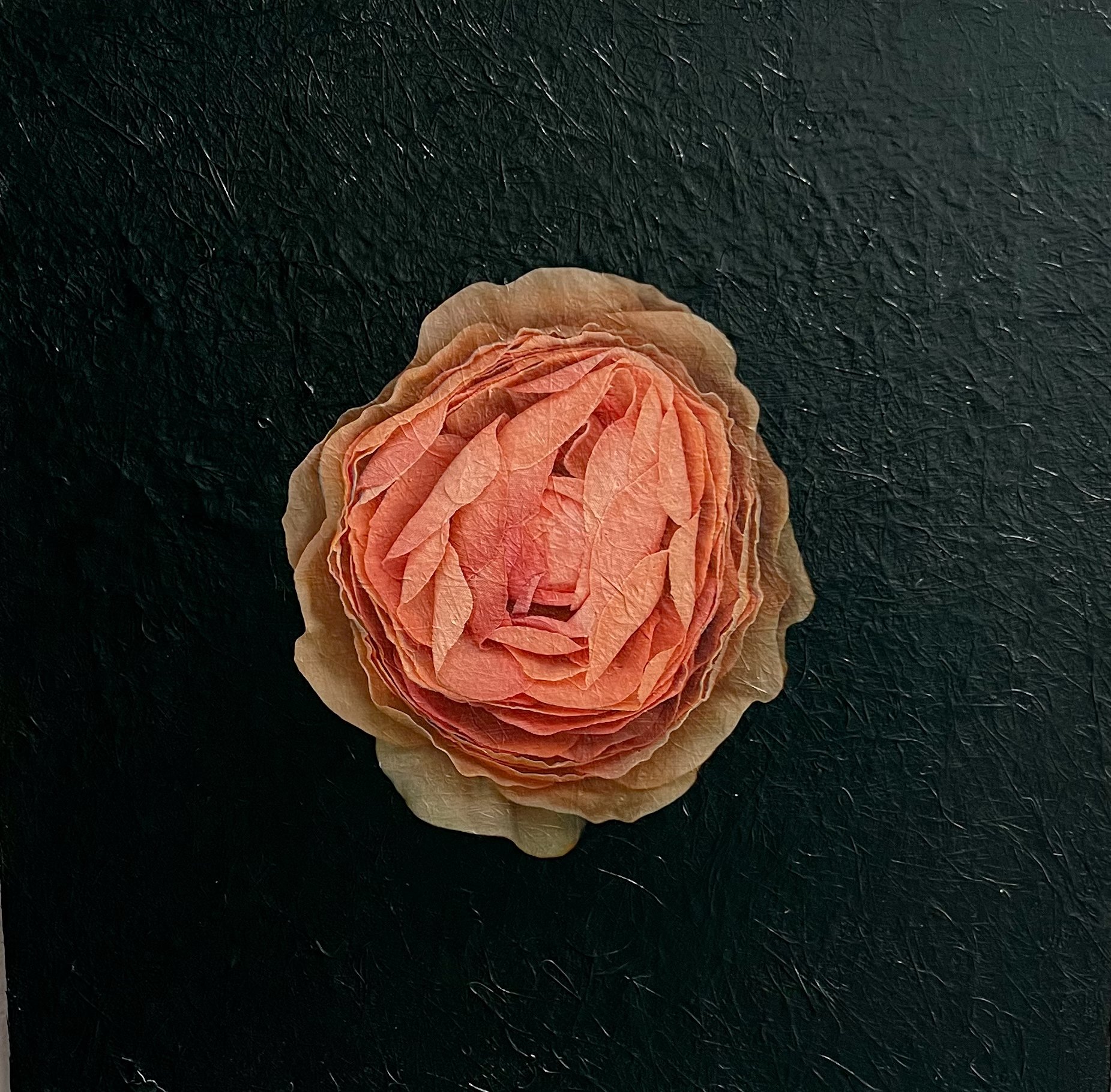 Petals and Pods - acrylic and photography printed on fiberglass, 20x20" 