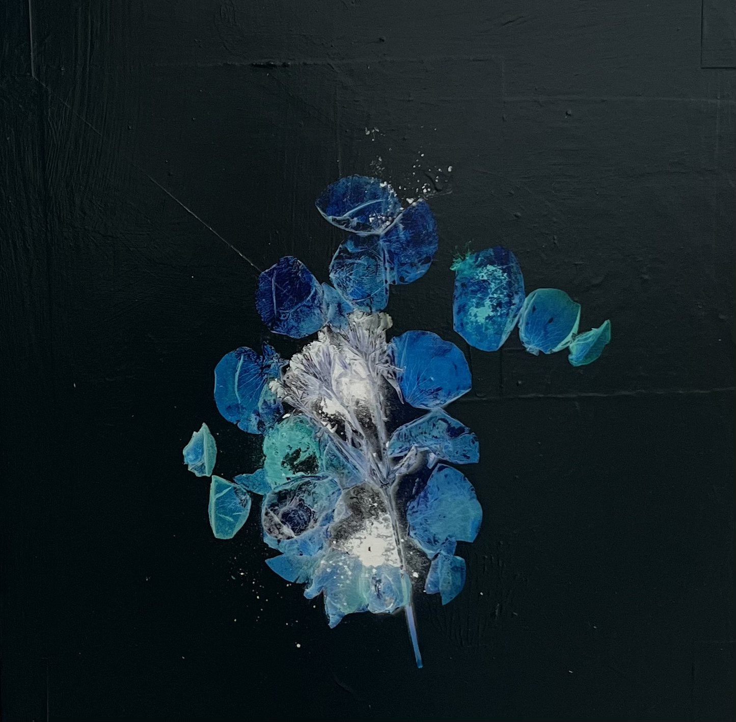 Petals and Pods - acrylic and photography printed on gessoed wood, 20x20" 