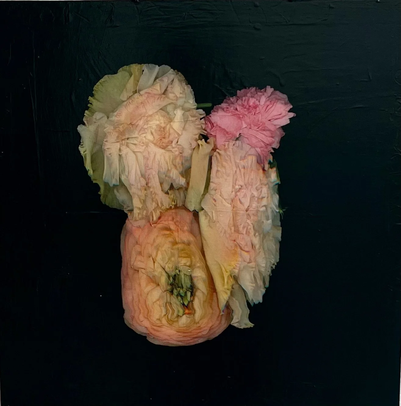 Petals and Pods - acrylic and photography printed on gessoed wood, 20x20" 