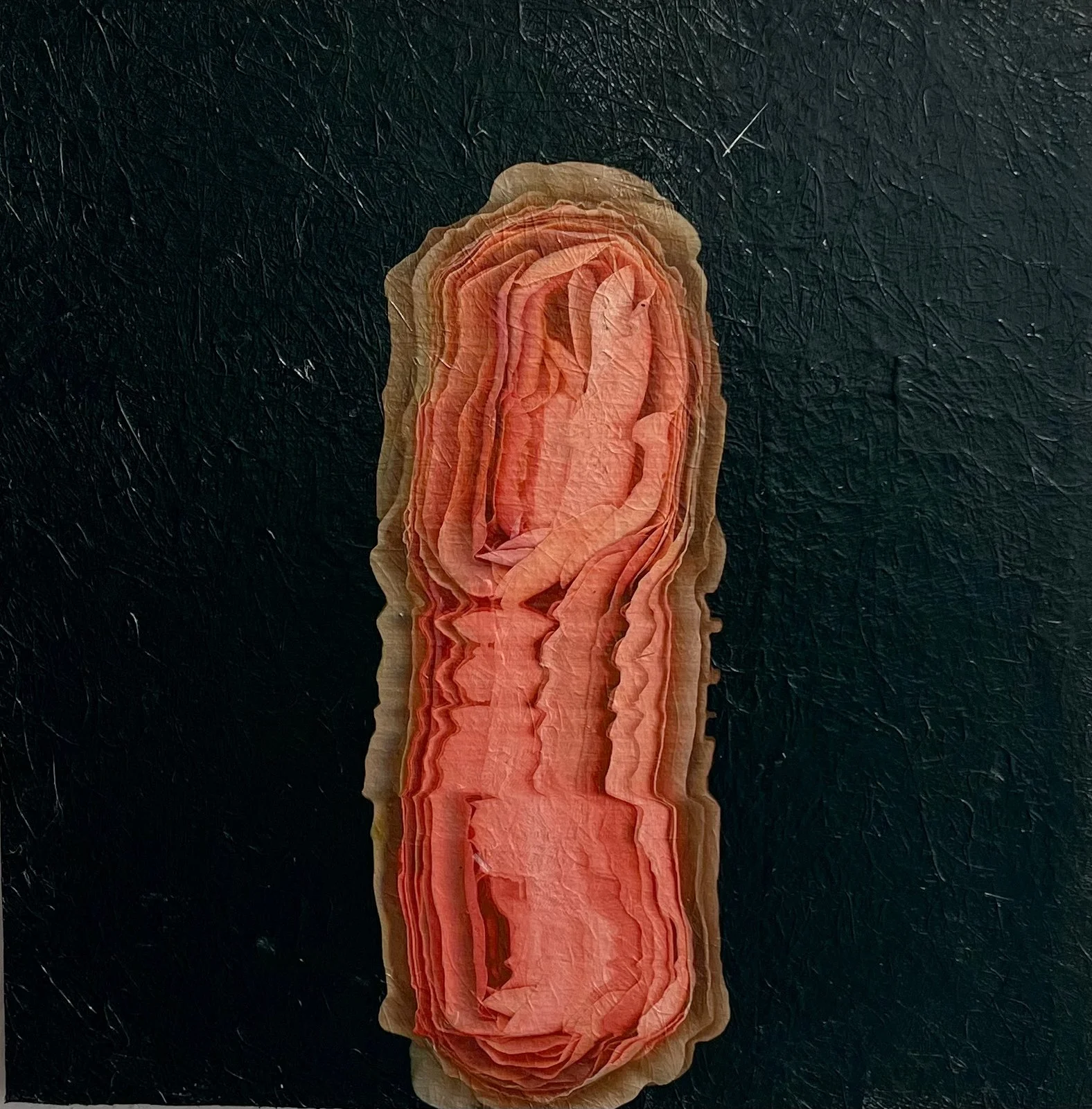 Petals and Pods - acrylic and photography printed on fiberglass, 20x20" 