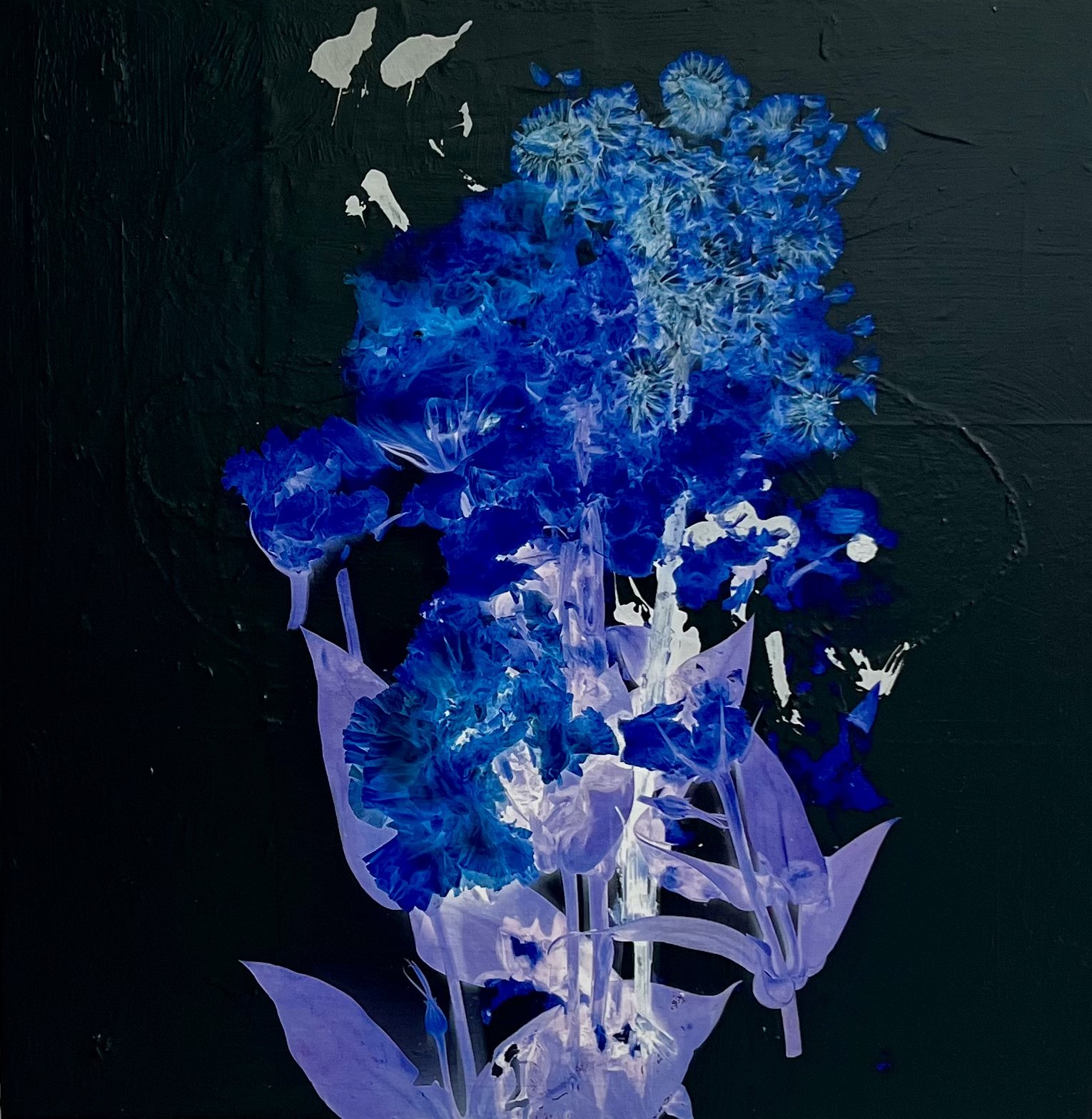 Petals and Pods - acrylic and photography printed on gessoed wood, 20x20" 