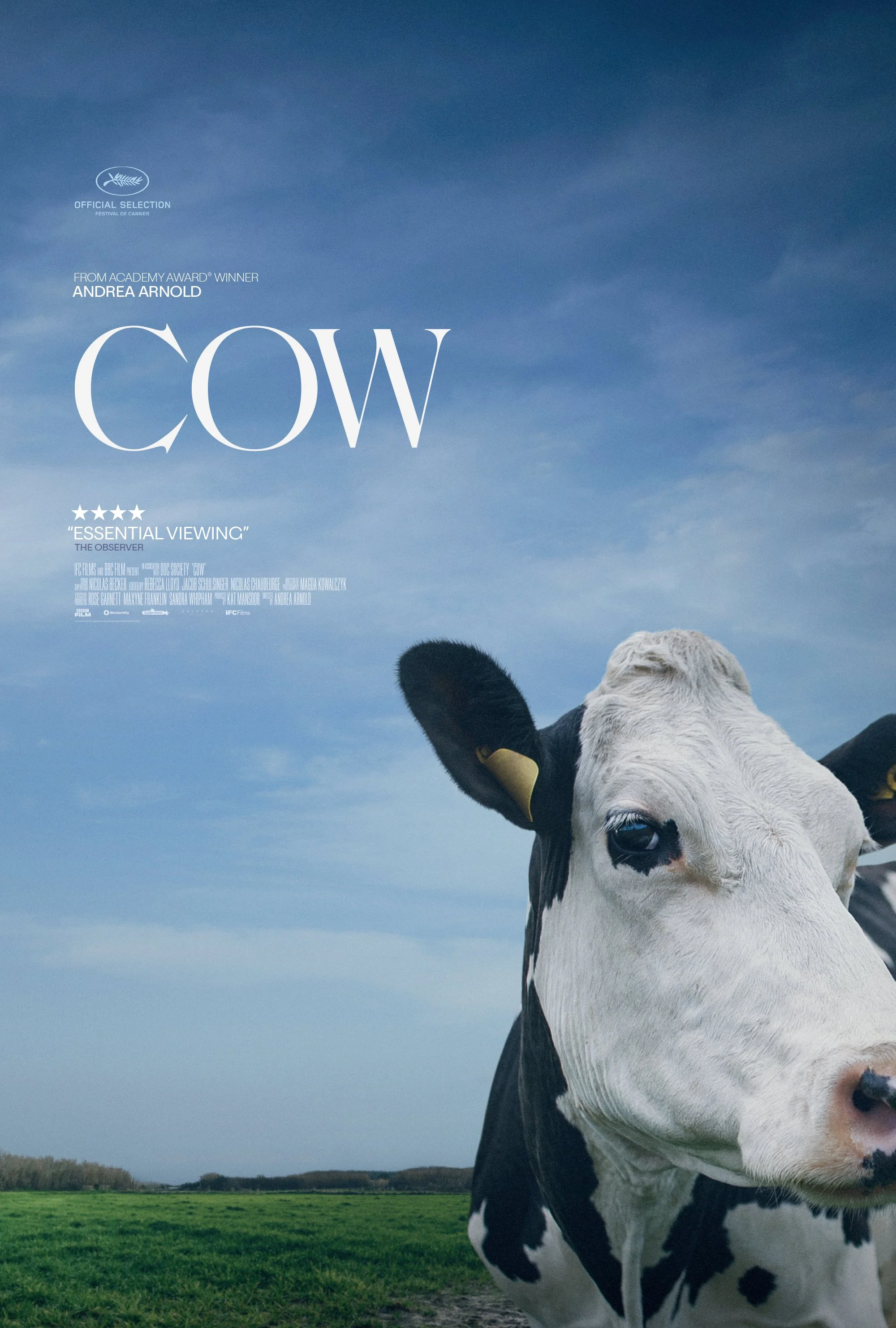 Cow (2021).jpg