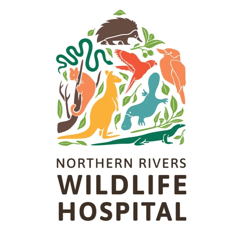 Screenshot 2025-07-02 at 14.07.41.jpg