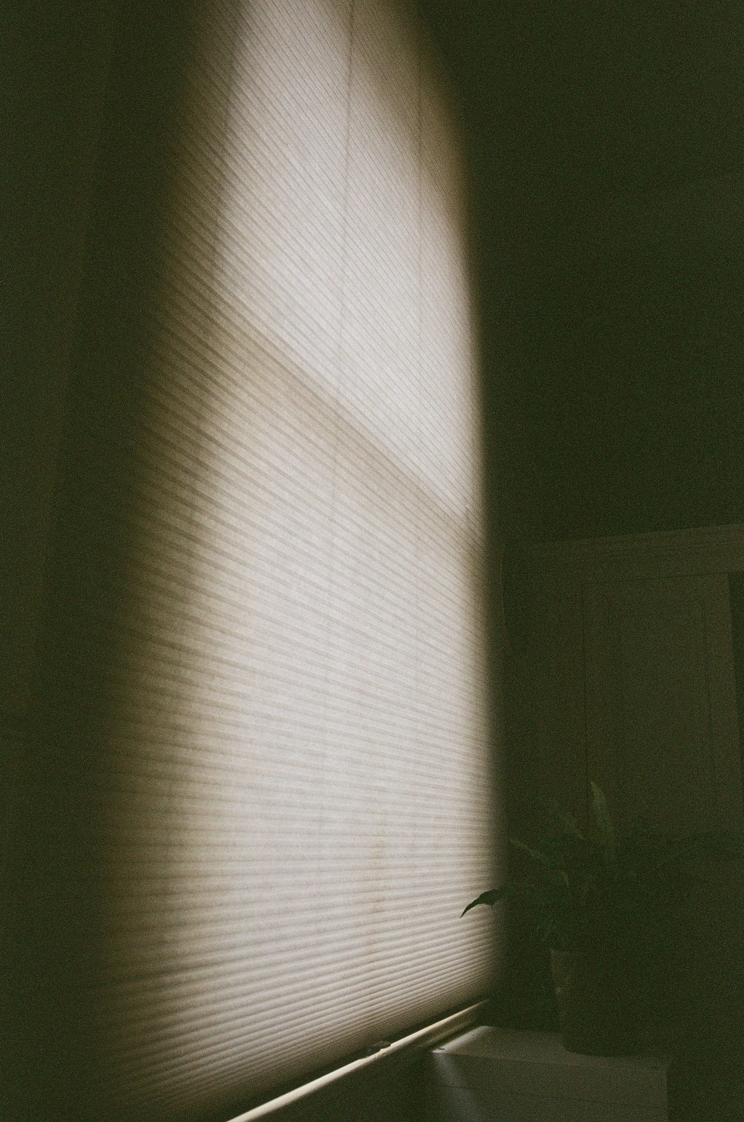 Diffused - June 2021