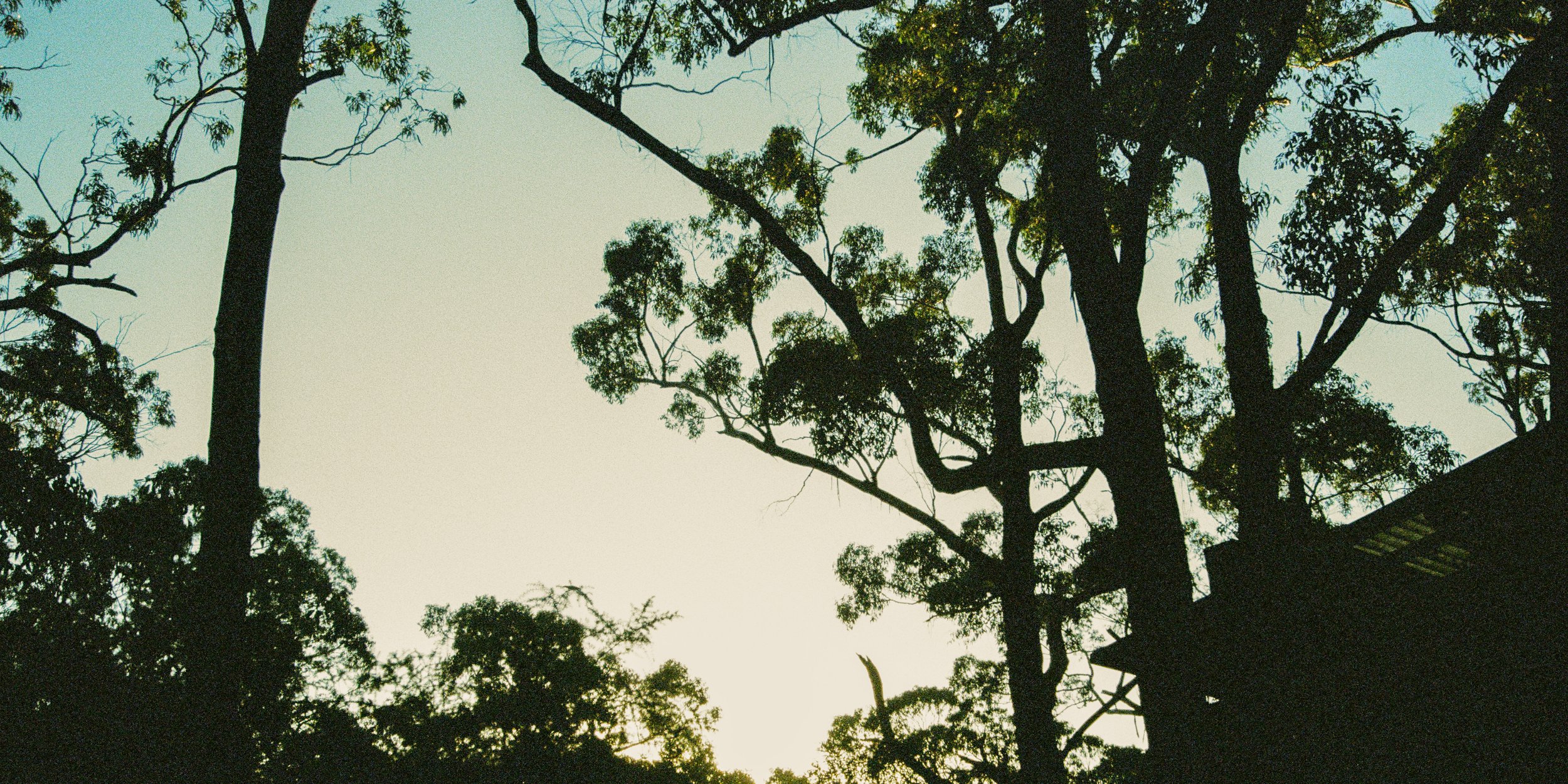 000017330027.jpg
