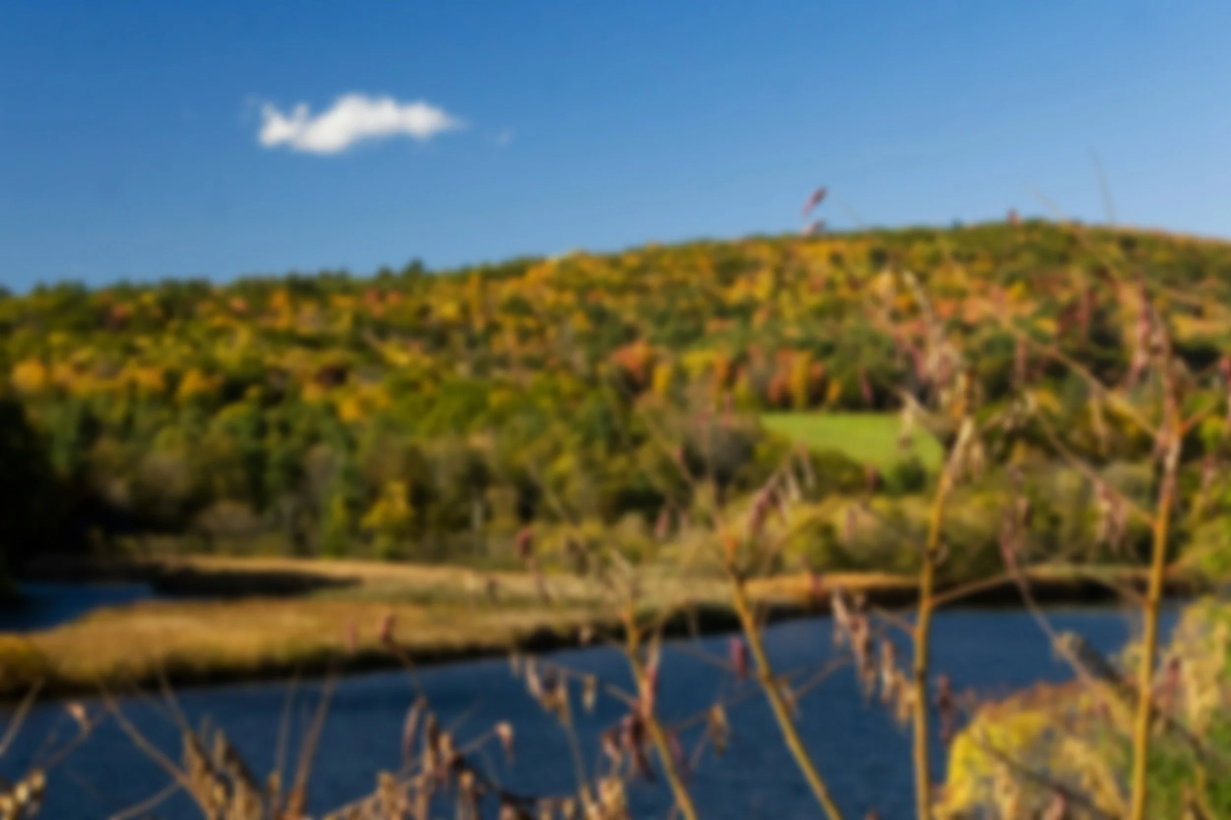 Blurry landscape of a hill with trees, a body of water in the foreground, a bright blue sky, and a small cloud.