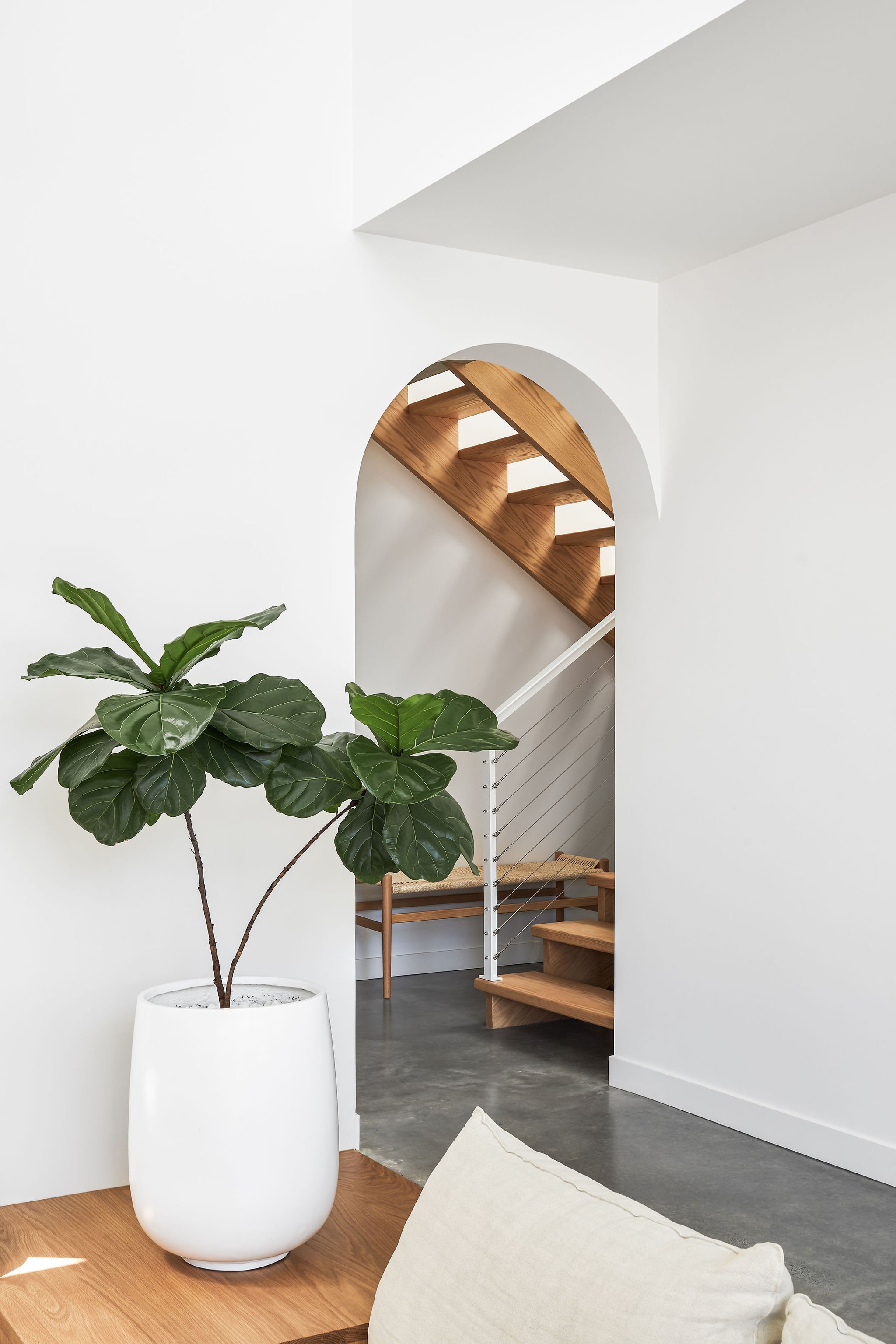 FREIHAUS©ANDYMACPHERSON-11.jpg