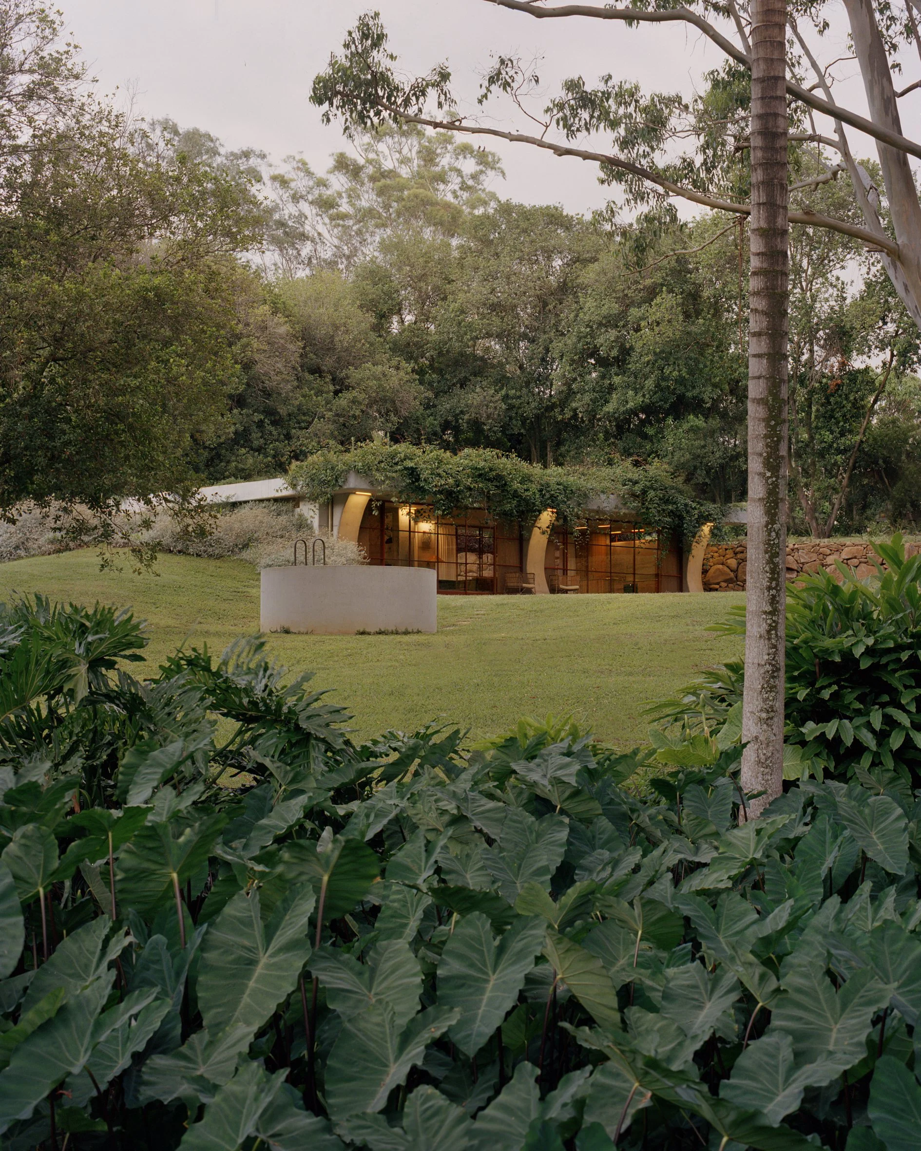 Ground House for web by Tasha Tylee_02.jpg