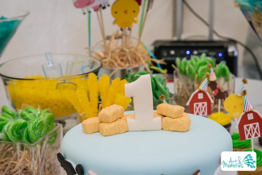 Zaki_BDay_WEB-154.jpg