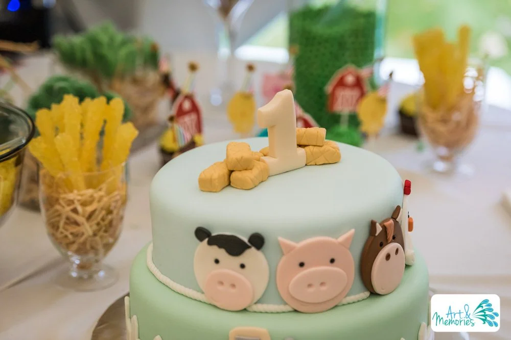 Zaki_BDay_WEB-173.jpg