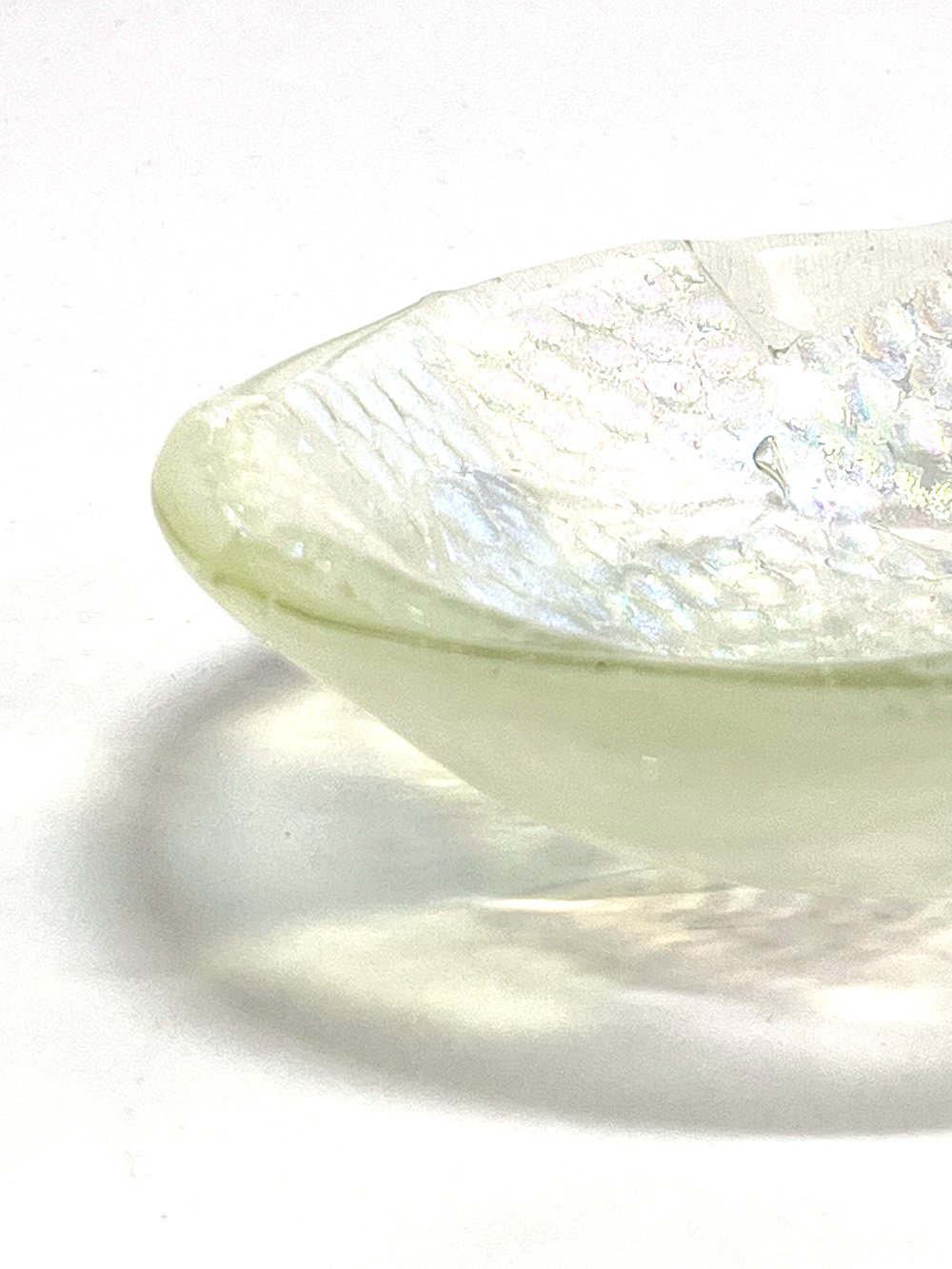 clearsmalldichrobowl7.jpg