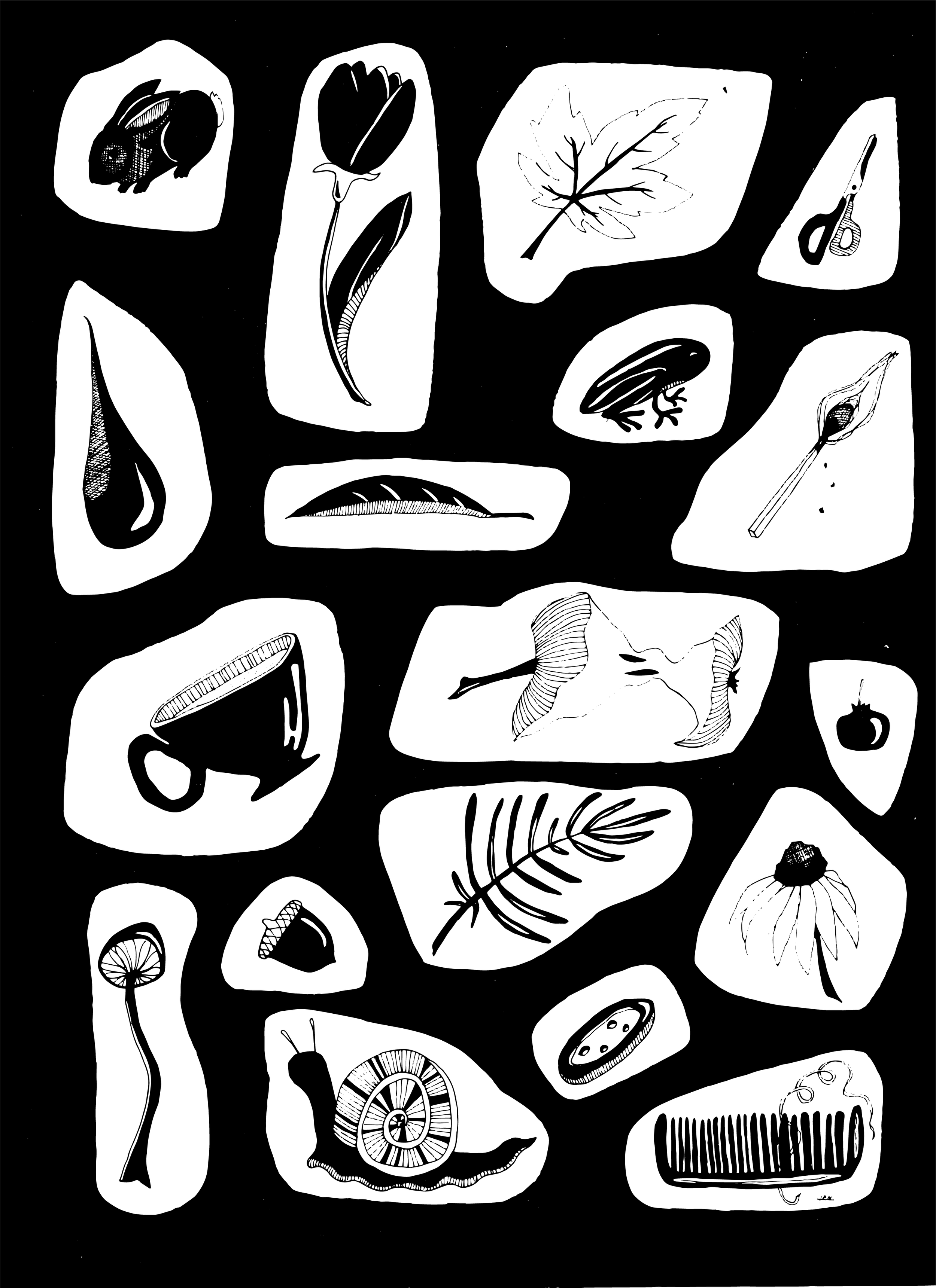 Black and White Poster edit.png