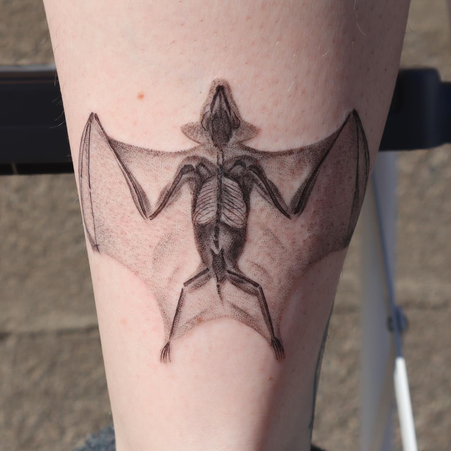 Xray bat from my spooky flash 🦇 Thanks Taylor!