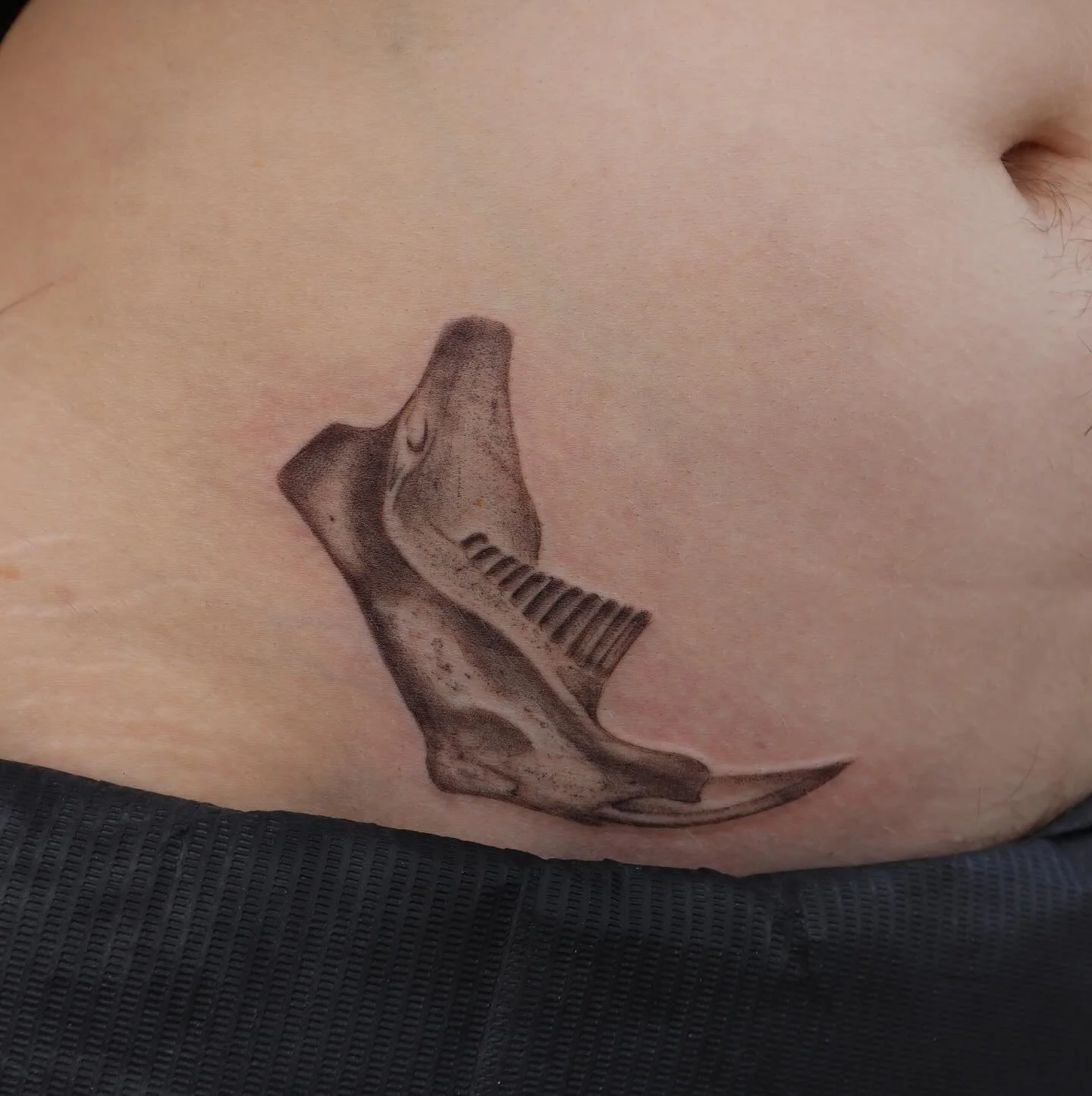 Muskrat jawbone for Frankie ✨ 

From my flash