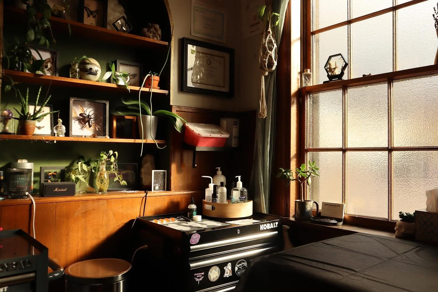 I love my little studio 💕✨ 

2 1/2 months in this space and it&rsquo;s feeling so good. So grateful to share space with @kipandkoe and @blackwillowtattooz