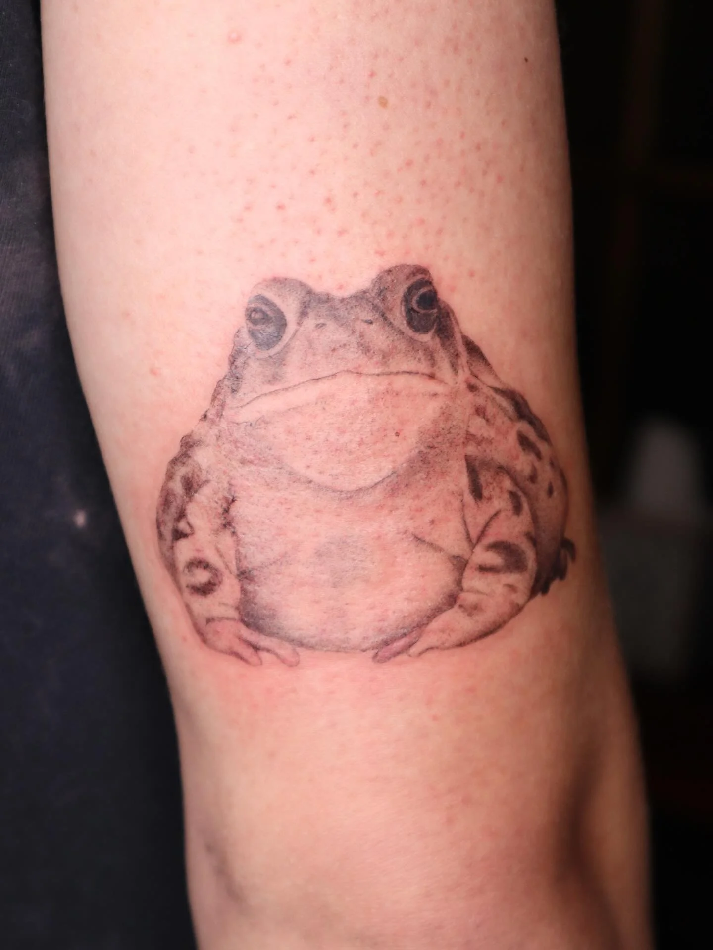 A couple of critters to start the new year