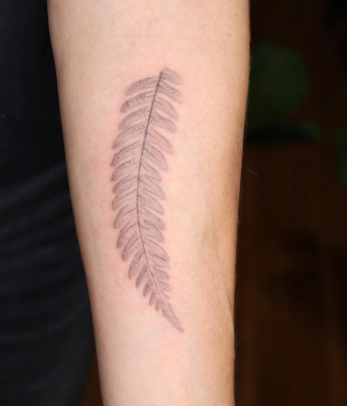 X-ray style fern for Kate&rsquo;s first tattoo! This is a customization of a piece from my last flash drop. I&rsquo;ve been so focused on customs lately that new flash has not been a priority! My books are always open for customs, and honestly, with 