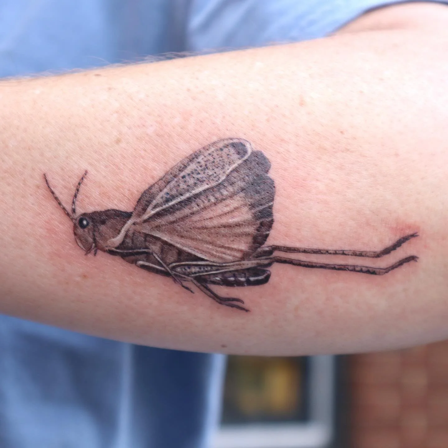 Grasshopper for Courtney ✨