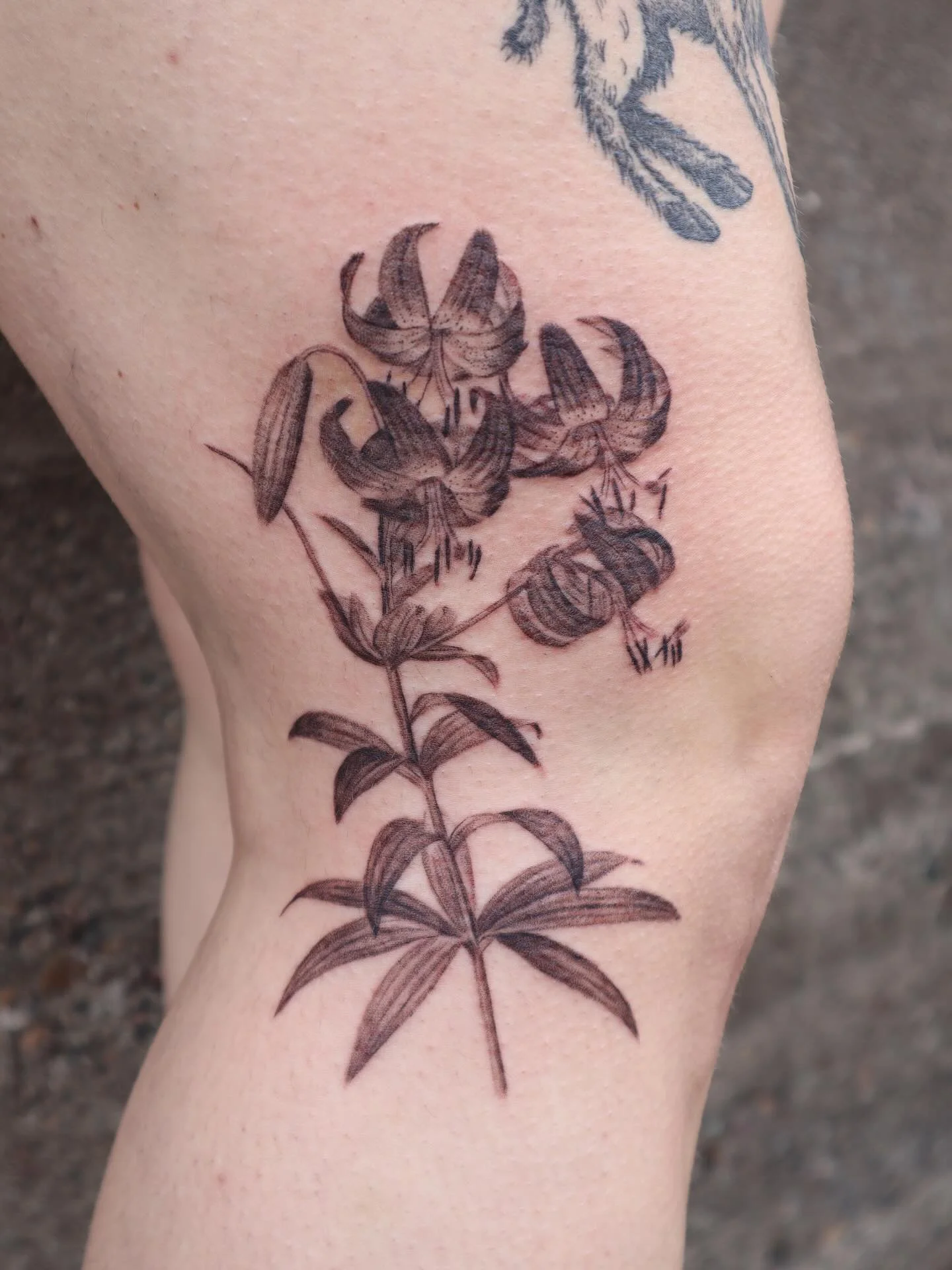 Tiger lilies based on a painting by Pierre-Joseph Redout&eacute;, and peach based on a painting by William Hooker - two botanical illustrators from the late 1700s/early 1800s