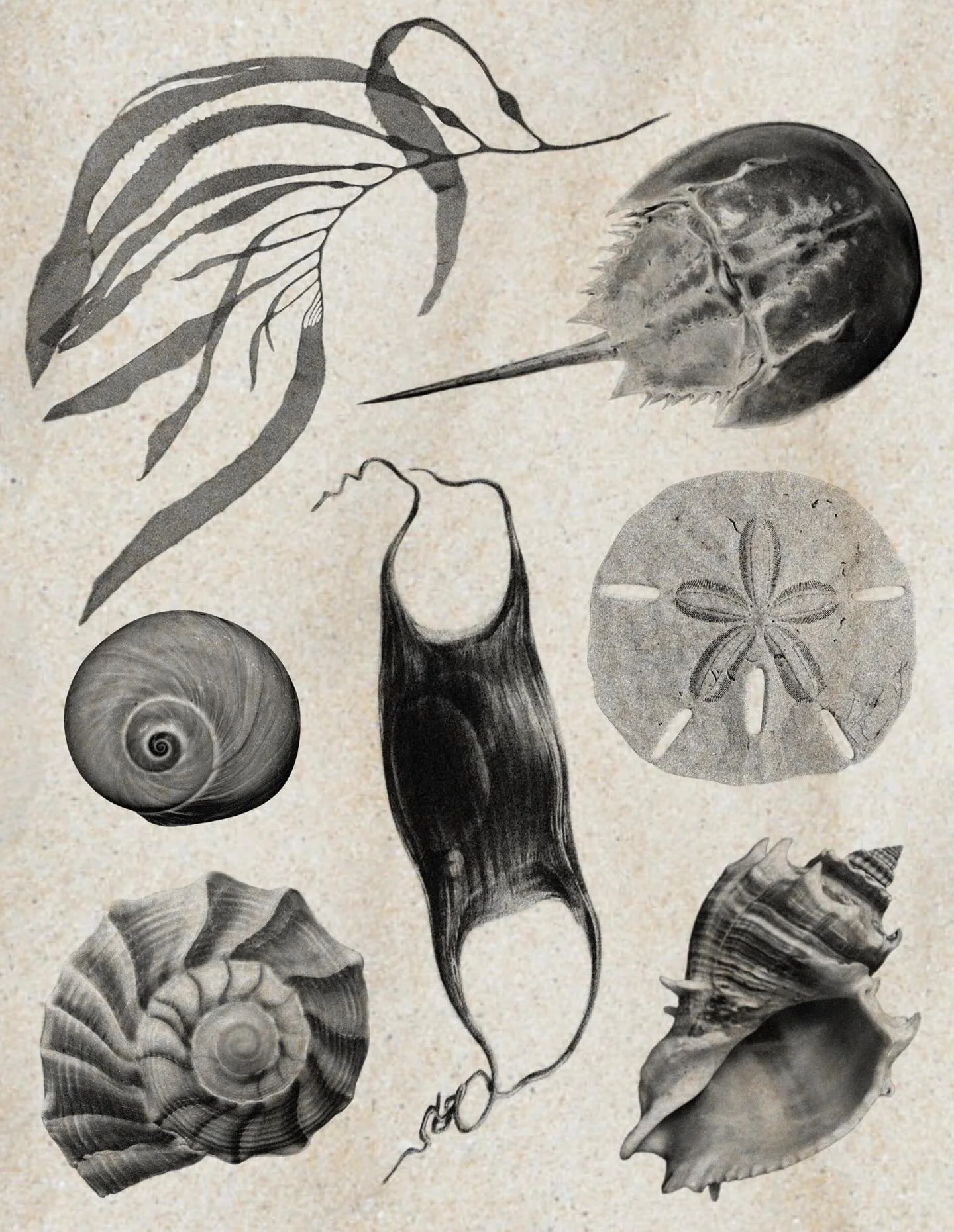 BEACH FLASH

Inspired by my recent vacation. Full price and size scale is viewable on Venue, where you can claim / check availability also! (link in b!0)