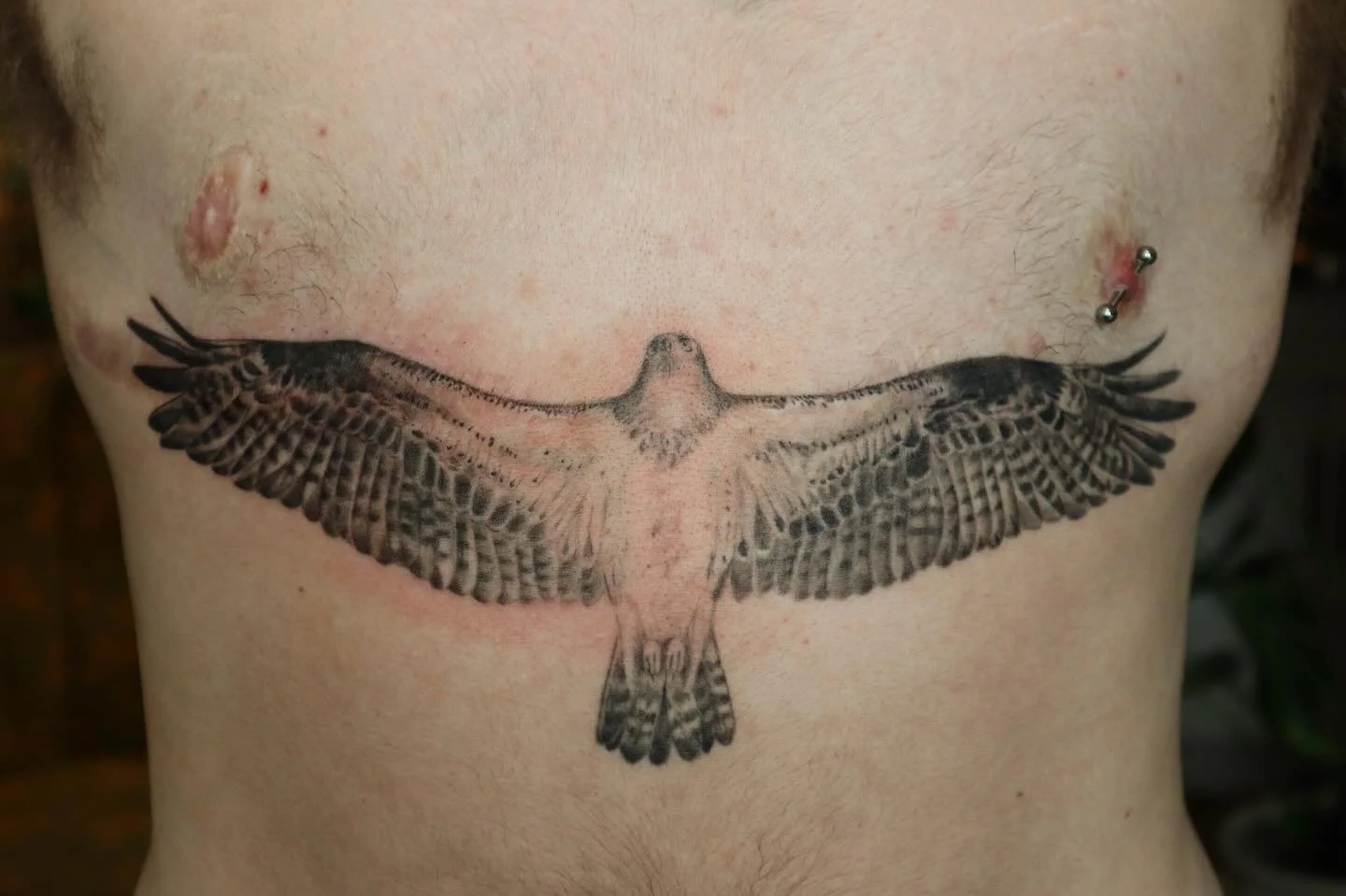 Osprey for Max! Thanks for the trust 🖤 Right side is fully healed