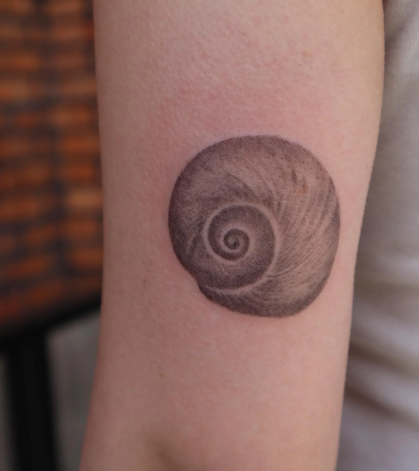 Shark eye shell for Nora 🐚 

Dreaming of doing a shell / sea life patwork sleeve 🤔