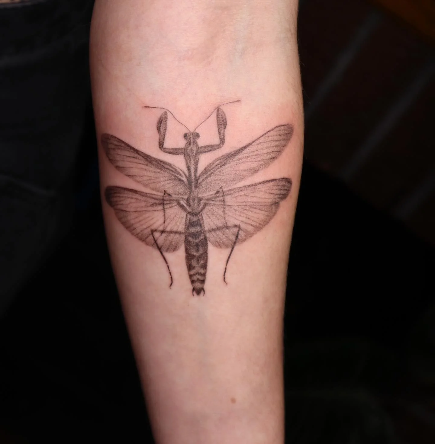 A little collection of tats I never posted!