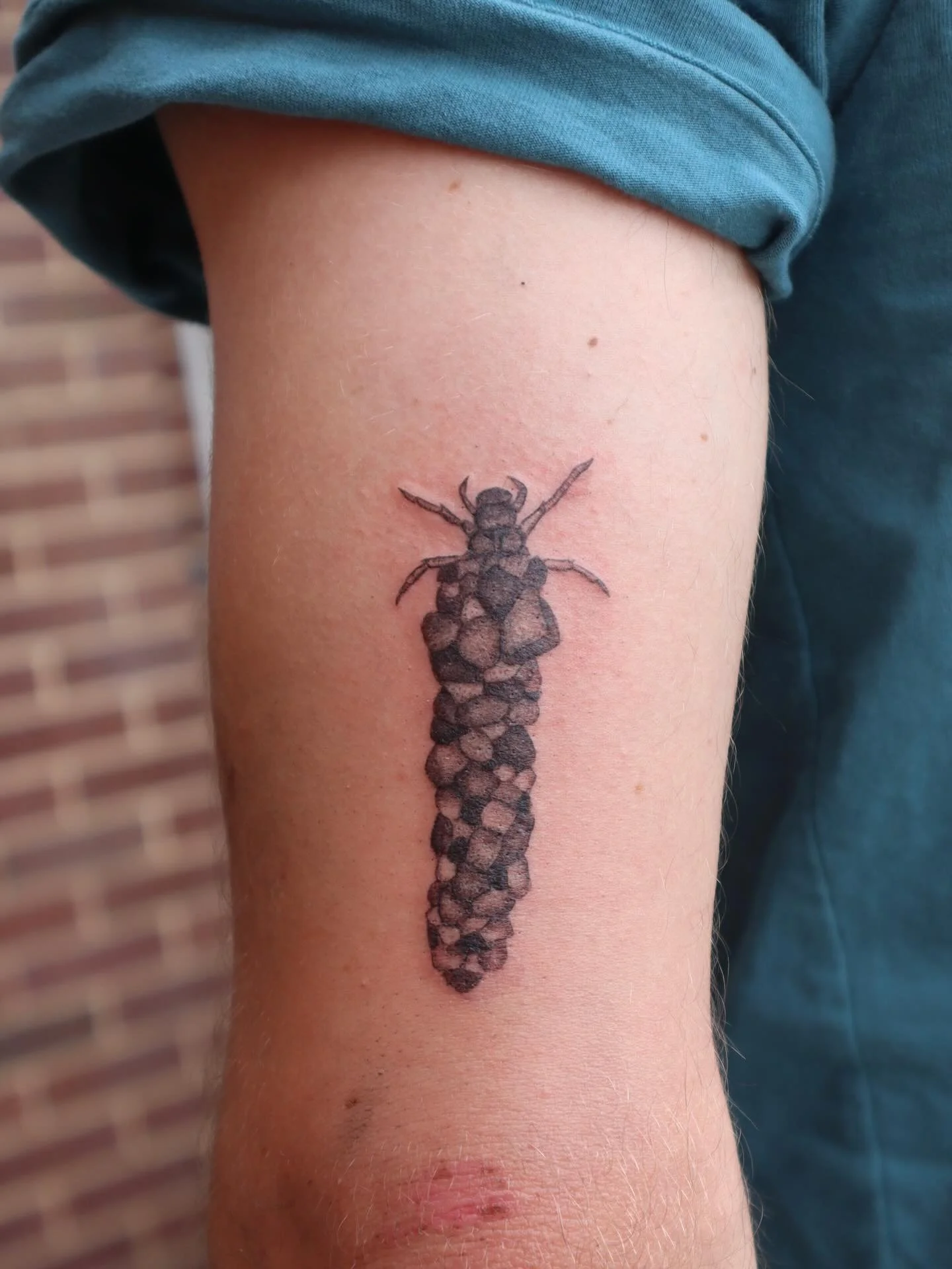 Caddisfly larvae for Zane! Thank you!!