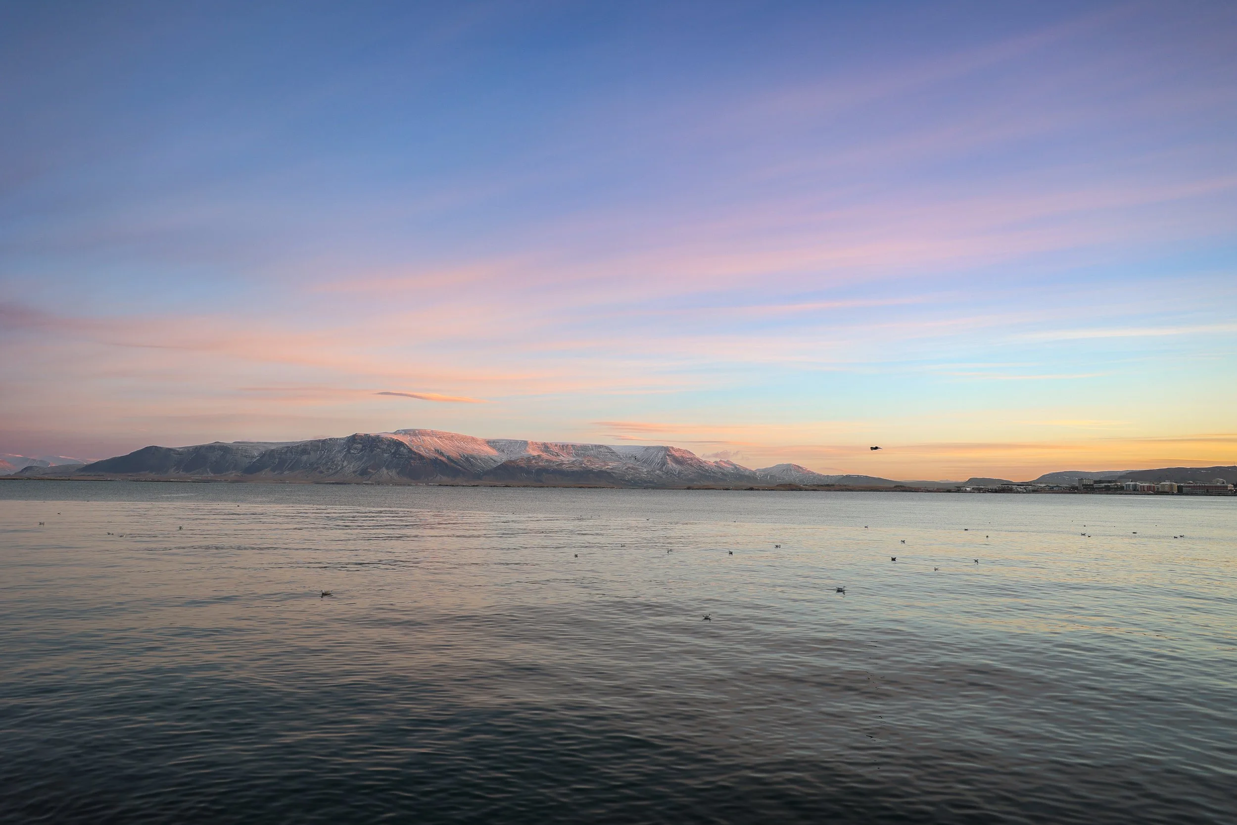 A serene body of water with gentle ripples, distant mountains with snow-capped peaks, a pastel-colored sky at sunset or sunrise. Taken from the Sculpture and Shore walk along Reykjavik's coast looking out at the mountains of Videy Island, Iceland.