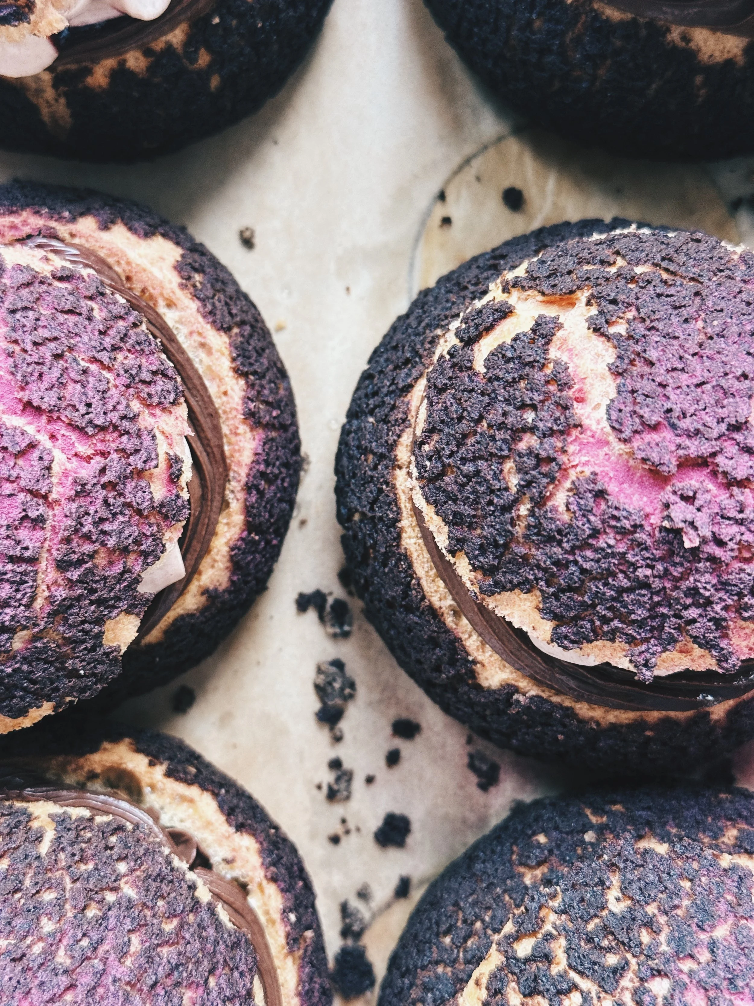 box xxiii - craquelin choux