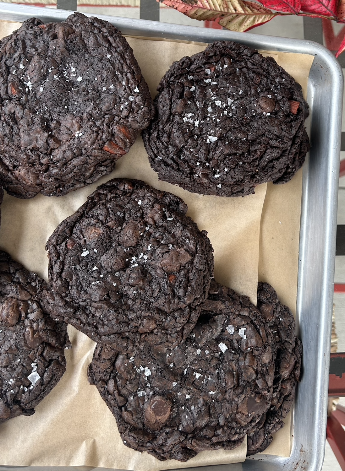 box xxi award winning chocolate espresso cookies